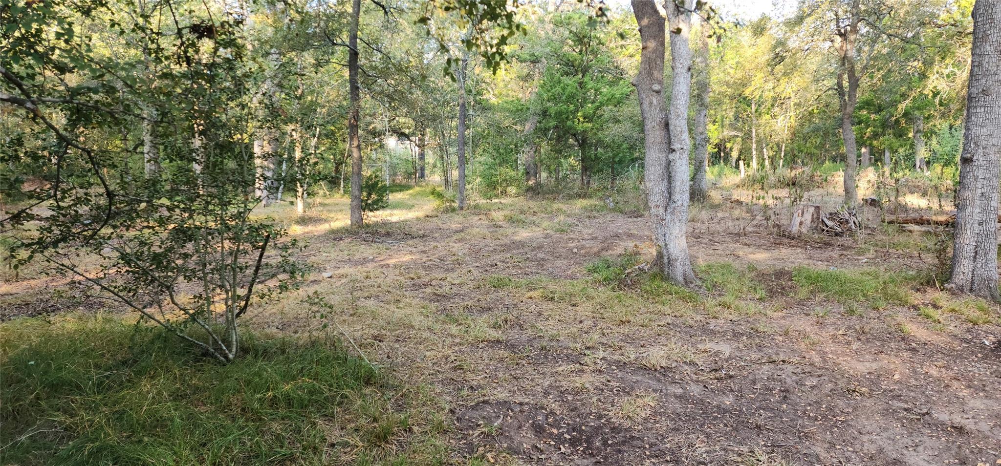 Photo 4 of Single family home for sale at 194 Fm 2104, Smithville, TX 78957 | MLS# 1579141 | Listing updated on 2026-09-24