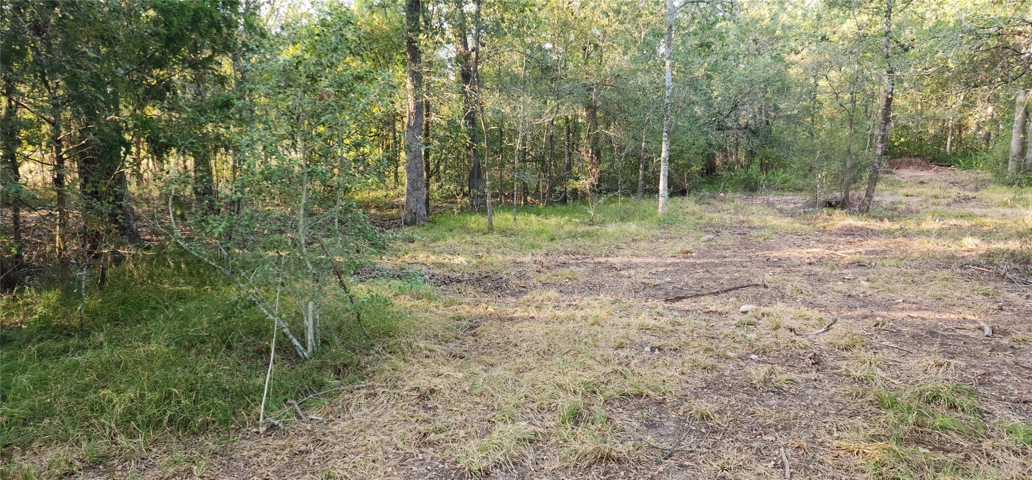 Photo 3 of Single family home for sale at 194 Fm 2104, Smithville, TX 78957 | MLS# 1579141 | Listing updated on 2026-09-24