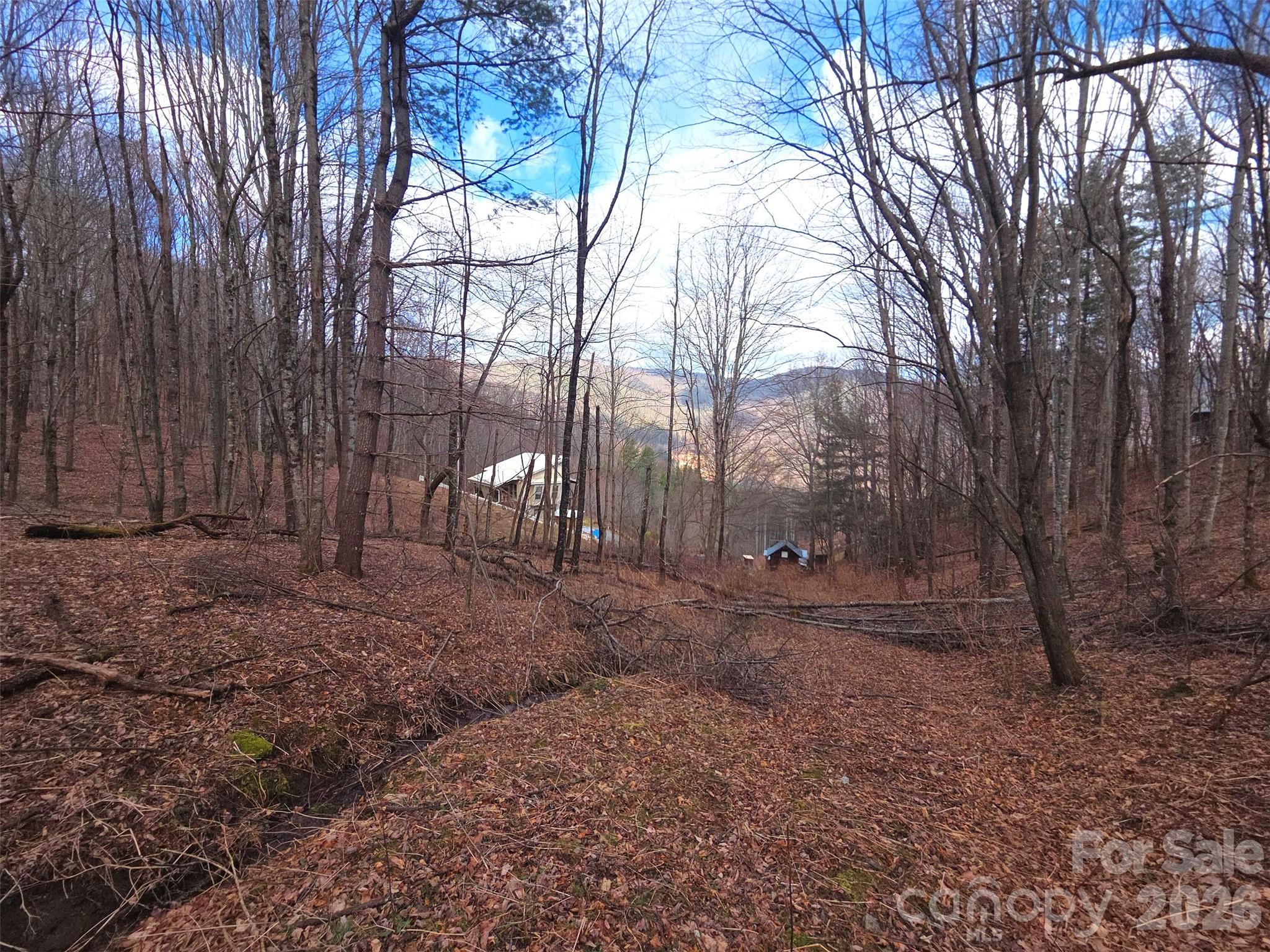 Photo 2 of Land for sale at 250 Rome Beauty Rd #TR5, Waynesville, NC 28785 | MLS# 4357447 | Listing updated on 2026-09-21