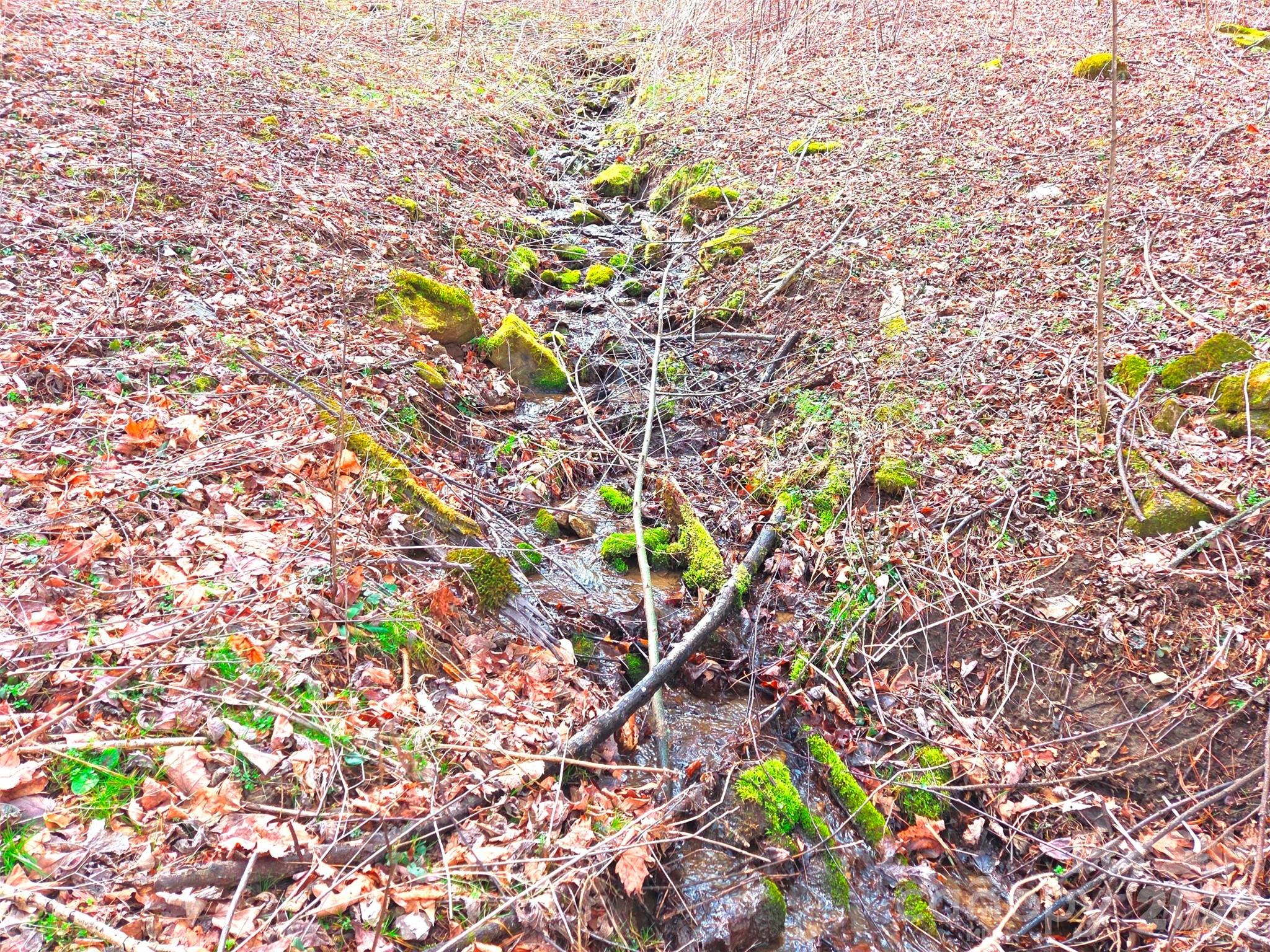 Photo 3 of Land for sale at 250 Rome Beauty Rd #TR5, Waynesville, NC 28785 | MLS# 4357447 | Listing updated on 2026-09-21