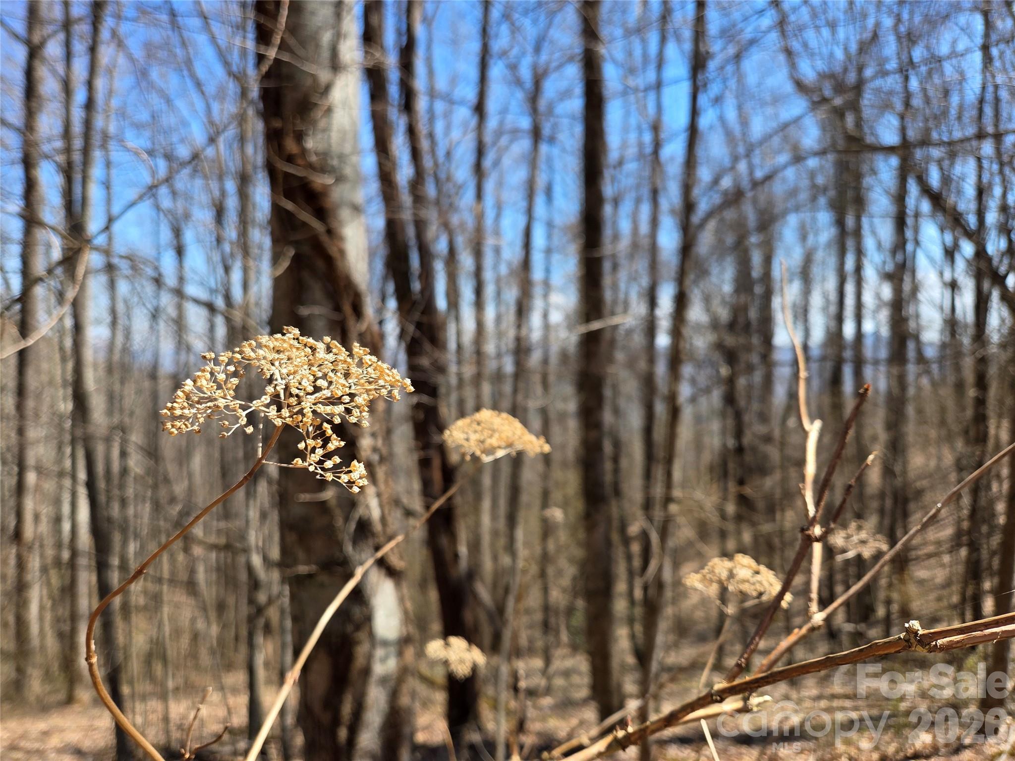 Photo 1 of Land for sale at 200 Wolverine Ct #44, Waynesville, NC 28785 | MLS# 4368465 | Listing updated on 2026-09-21