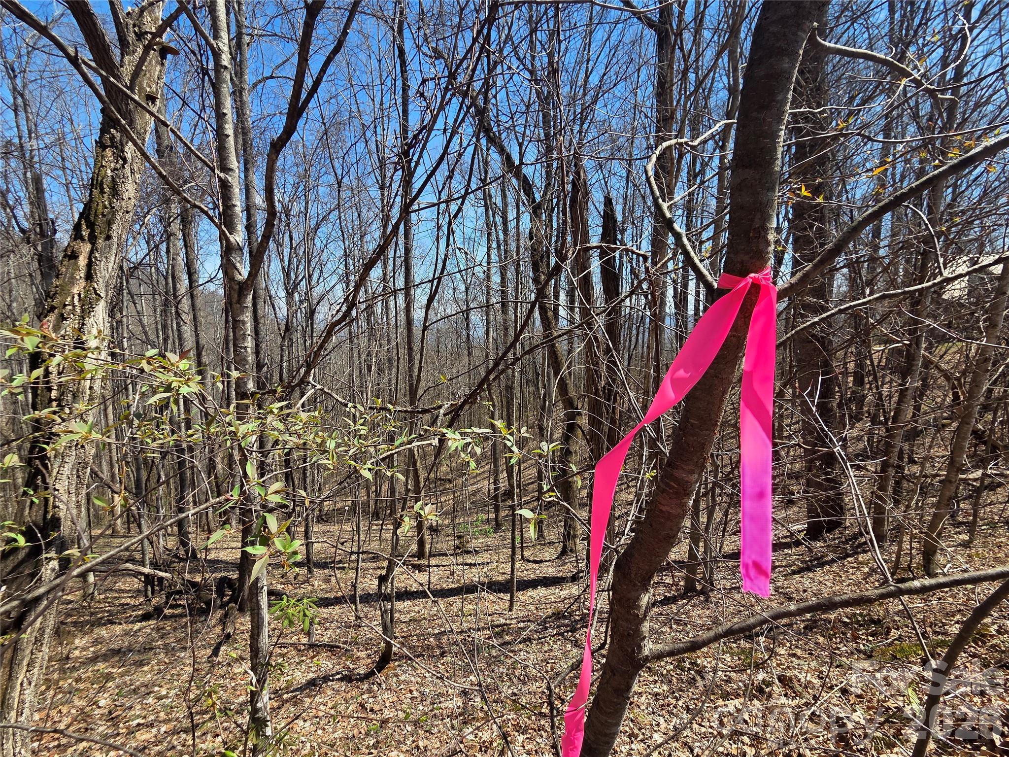 Photo 4 of Land for sale at 200 Wolverine Ct #44, Waynesville, NC 28785 | MLS# 4368465 | Listing updated on 2026-09-21