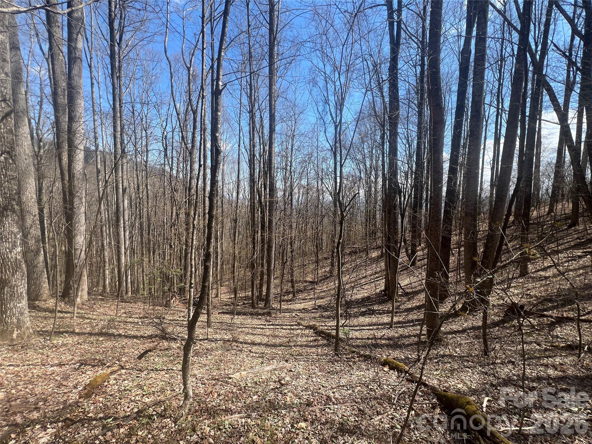 Photo 2 of Land for sale at 200 Wolverine Ct #44, Waynesville, NC 28785 | MLS# 4368465 | Listing updated on 2026-09-21