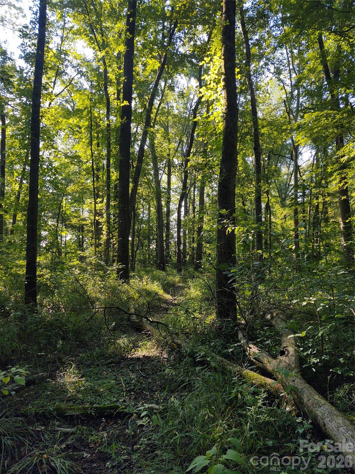 Land for sale at 000 Stratton Farm Rd, Huntersville, NC 28078 | MLS# 4413826