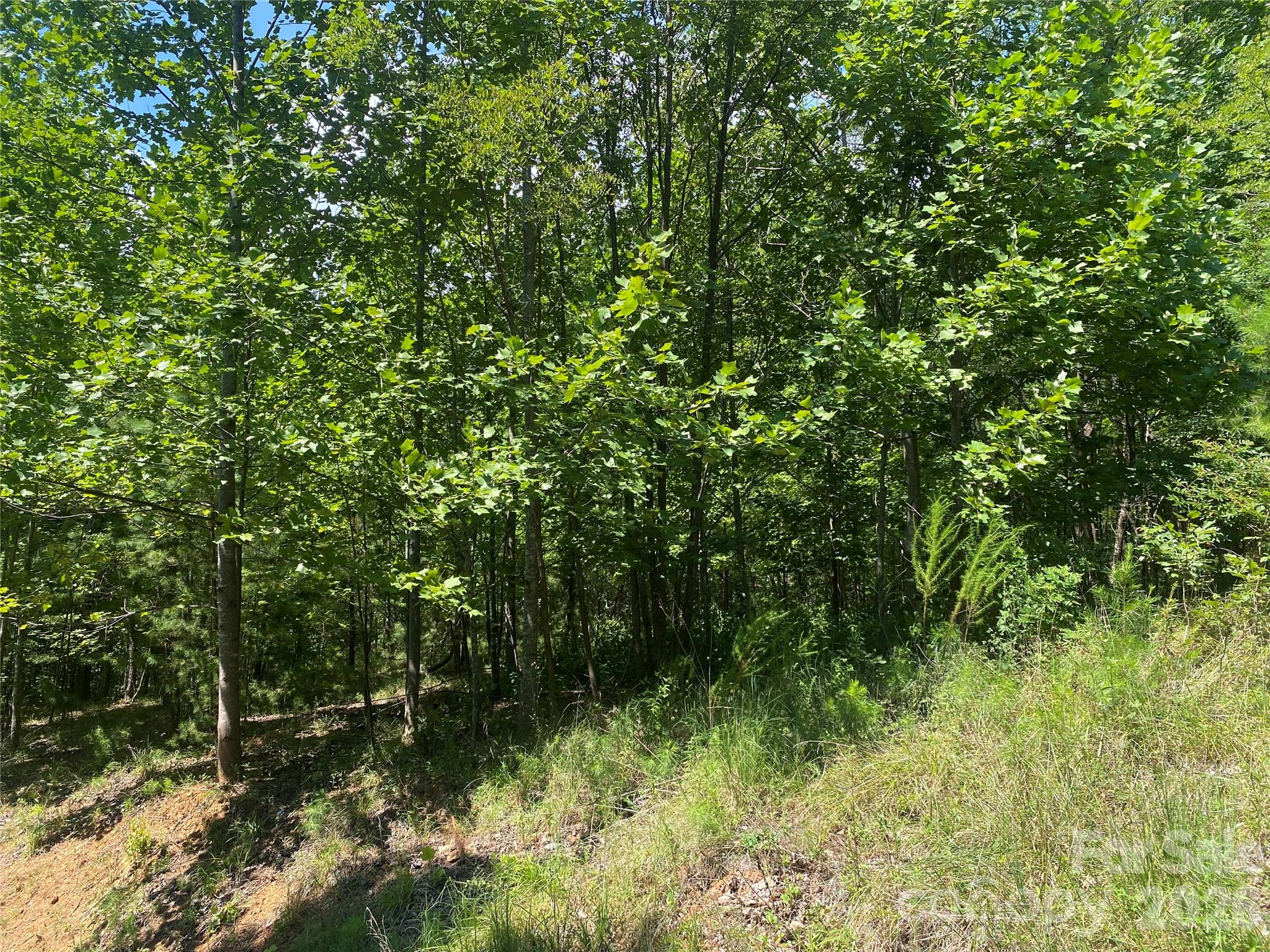 Photo 3 of Land for sale at 0000 Rock Ledge Dr, Lake Lure, NC 28746 | MLS# 4424528 | Listing updated on 2026-09-21