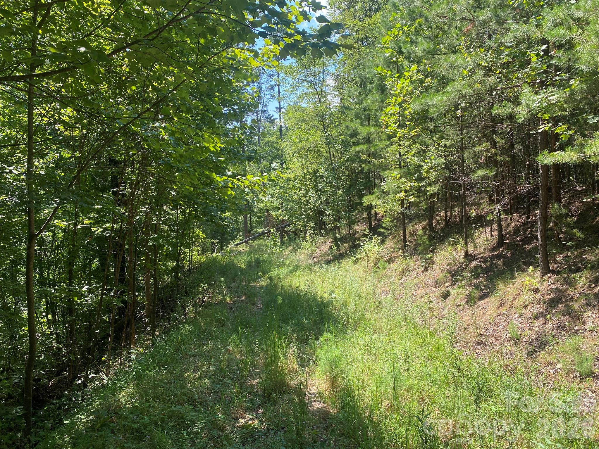 Photo 4 of Land for sale at 0000 Rock Ledge Dr, Lake Lure, NC 28746 | MLS# 4424528 | Listing updated on 2026-09-21