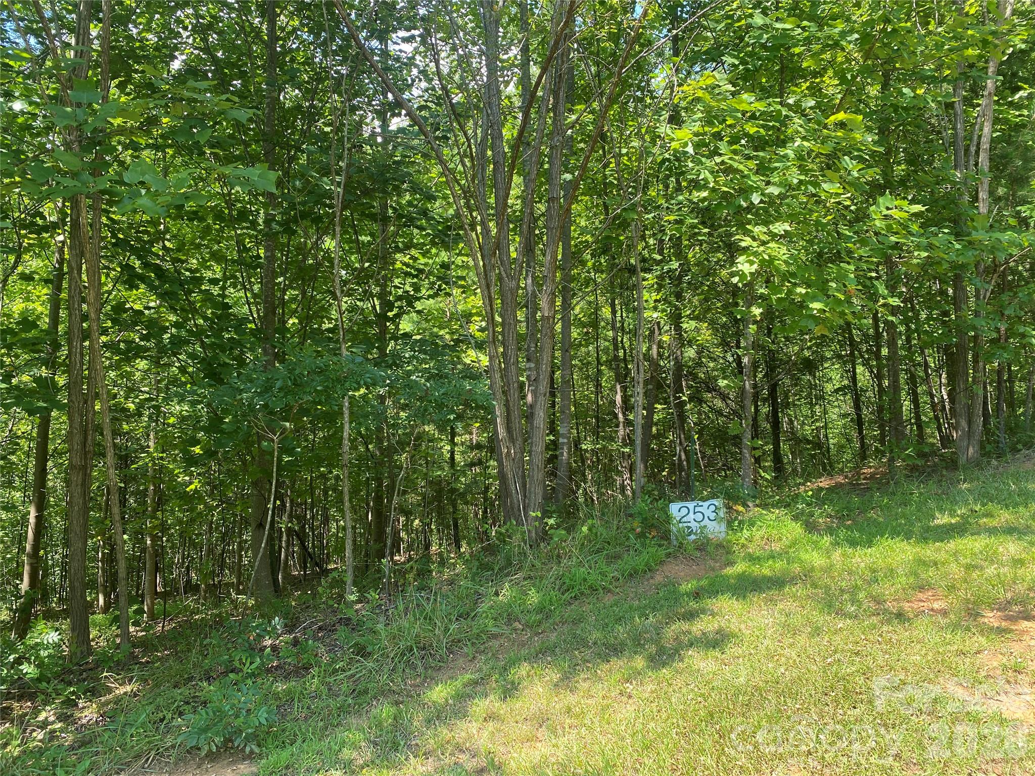 Photo 2 of Land for sale at 0000 Rock Ledge Dr, Lake Lure, NC 28746 | MLS# 4424528 | Listing updated on 2026-09-21