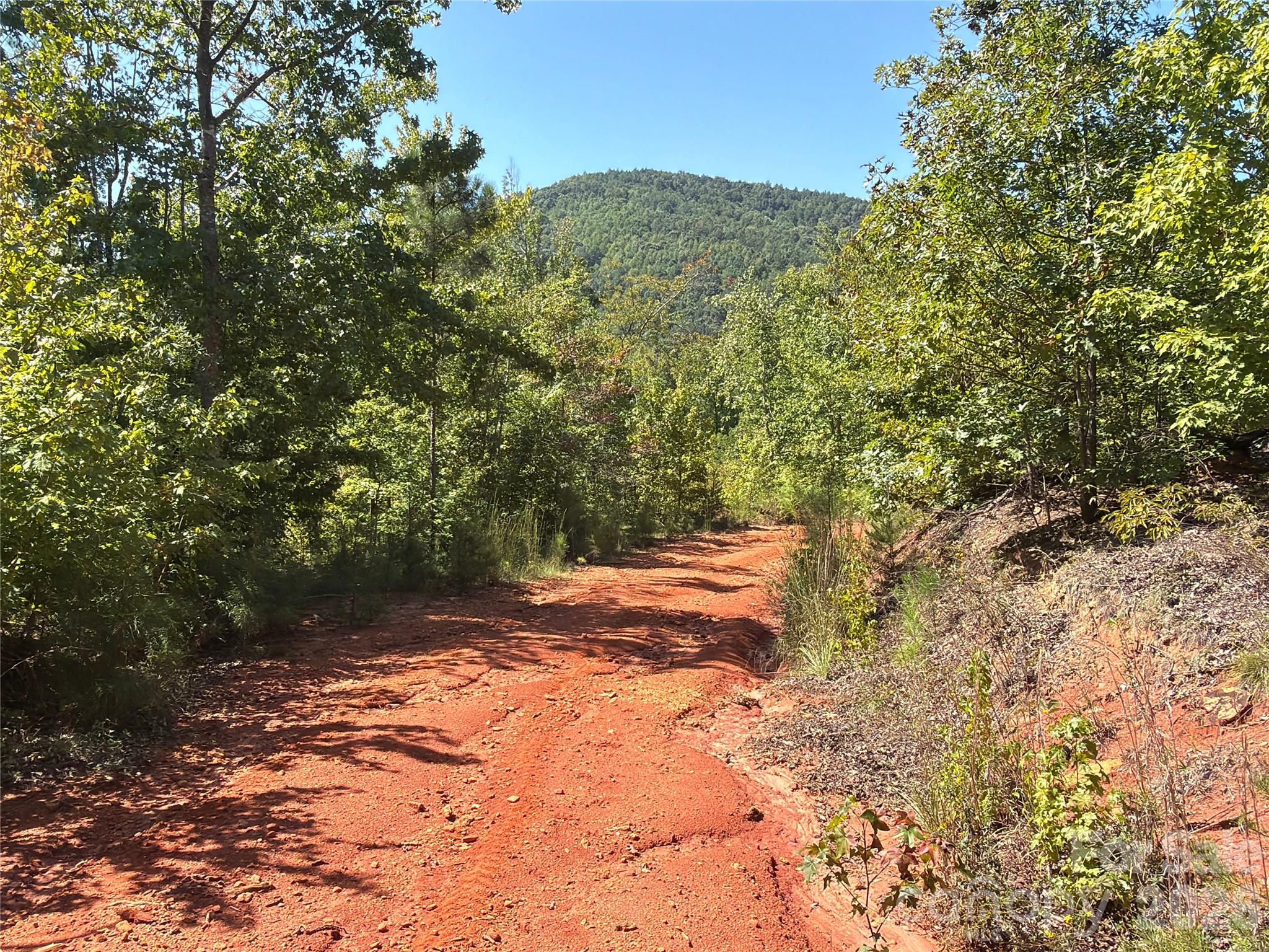 Photo 2 of Land for sale at 00 Camp Knob Rd, Casar, NC 28020 | MLS# 4425739 | Listing updated on 2026-09-24