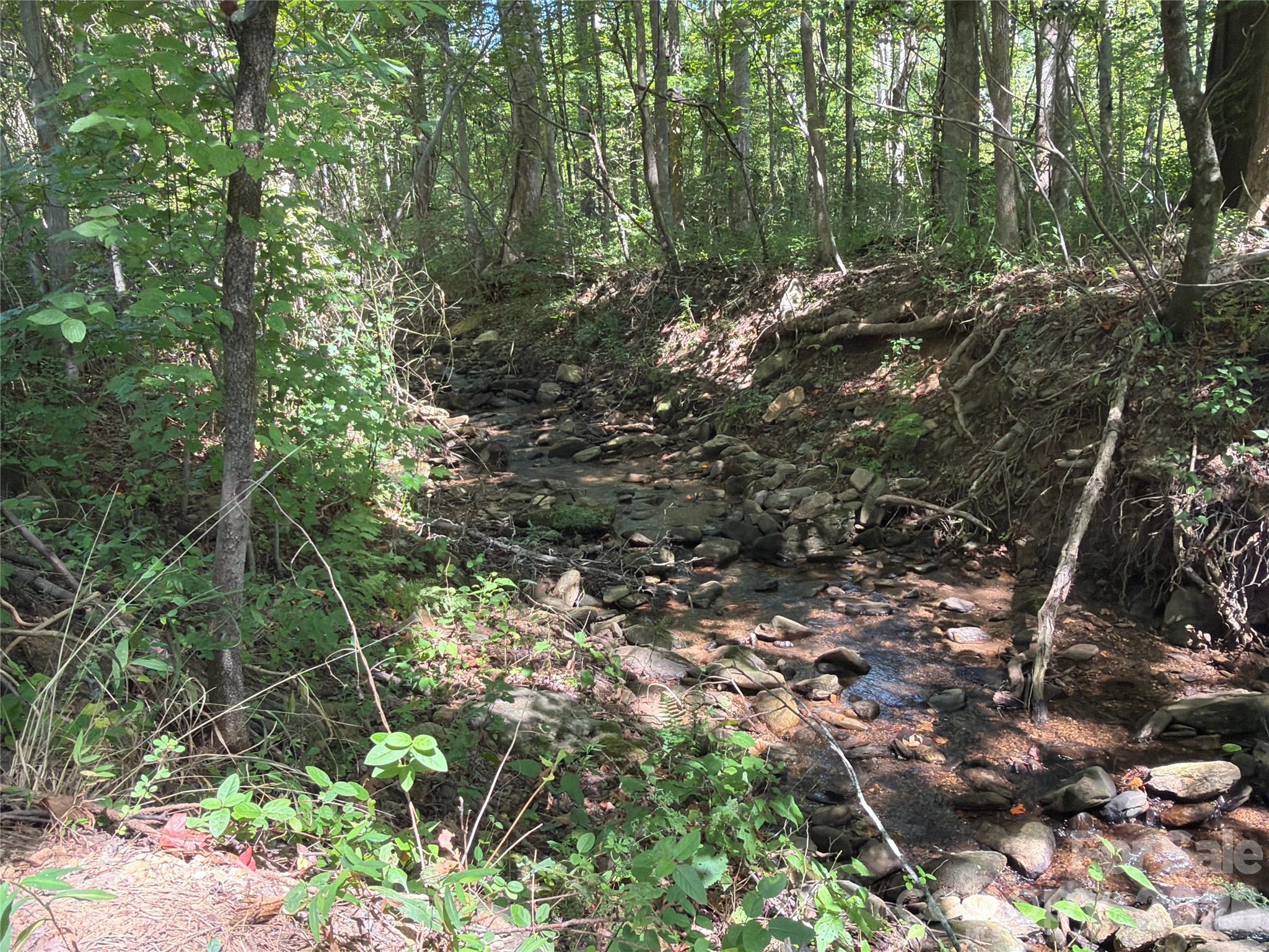 Photo 3 of Land for sale at 00 Camp Knob Rd, Casar, NC 28020 | MLS# 4425739 | Listing updated on 2026-09-24