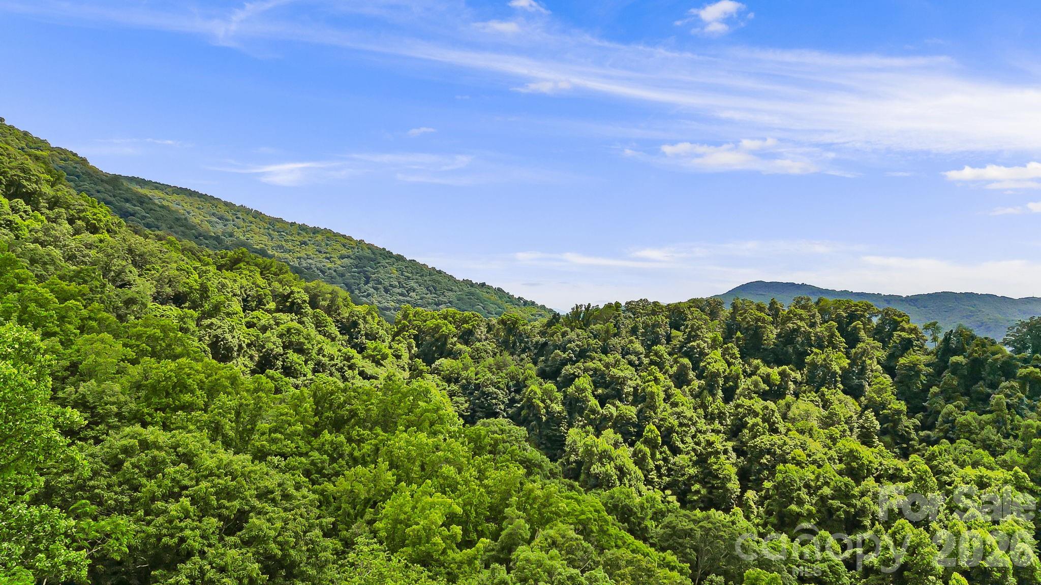 Land for sale at 158 Sugar Cvs Rd, Weaverville, NC 28787 | MLS# 4425928