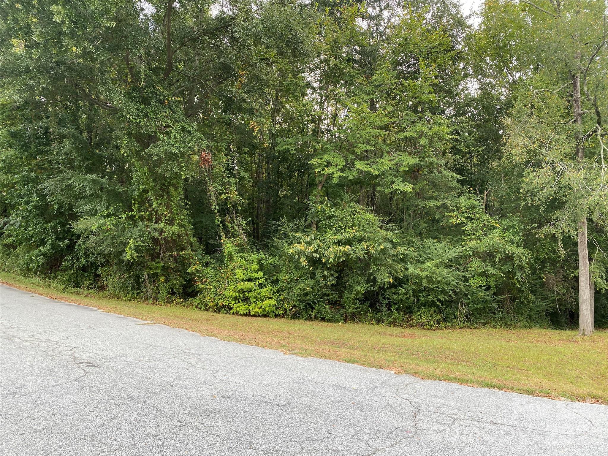 Land for sale at 245 Slayton St, Whitmire, SC 29178 | MLS# 4426118