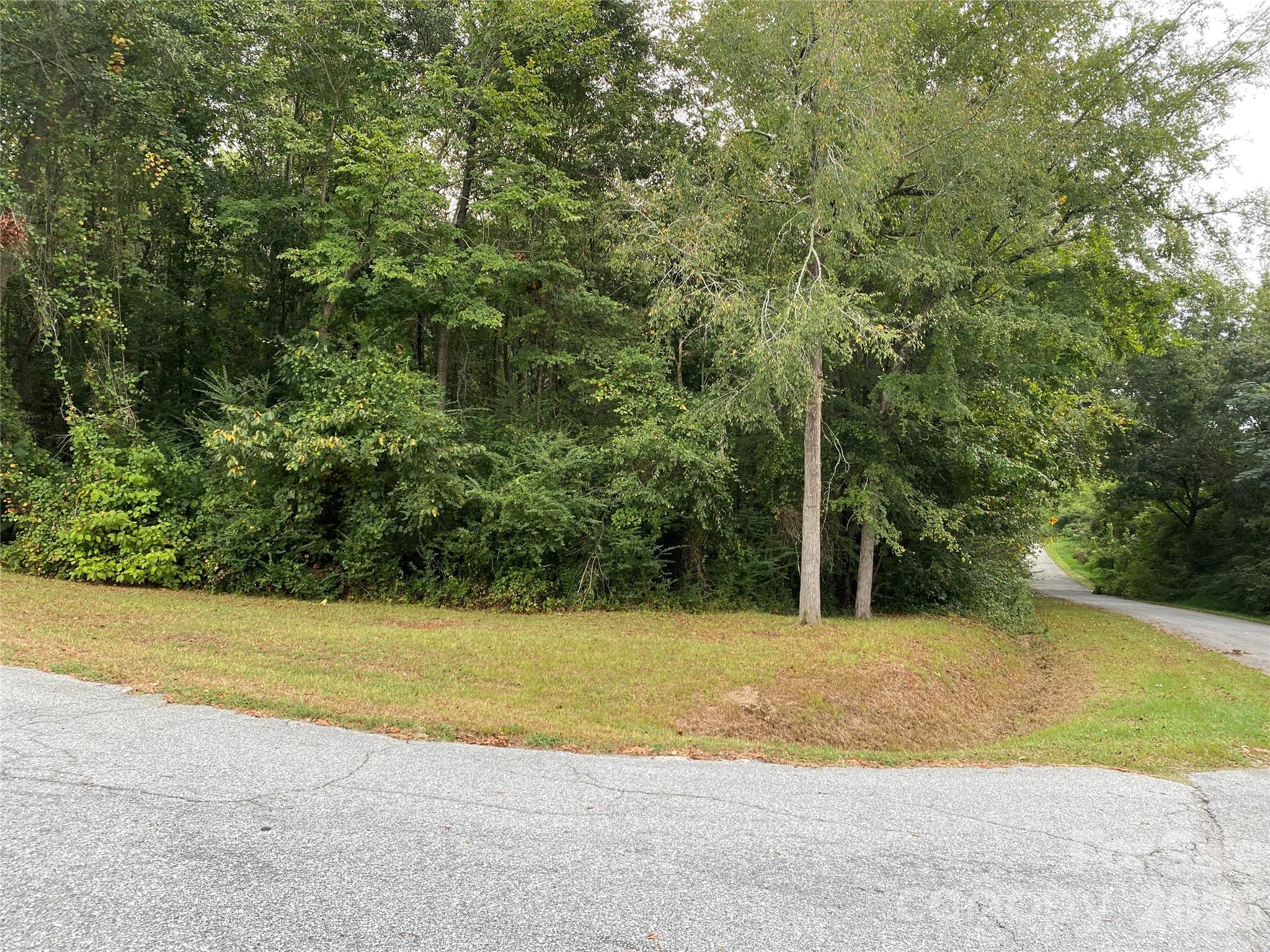 Photo 1 of Land for sale at 245 Slayton St, Whitmire, SC 29178 | MLS# 4426118 | Listing updated on 2026-09-21
