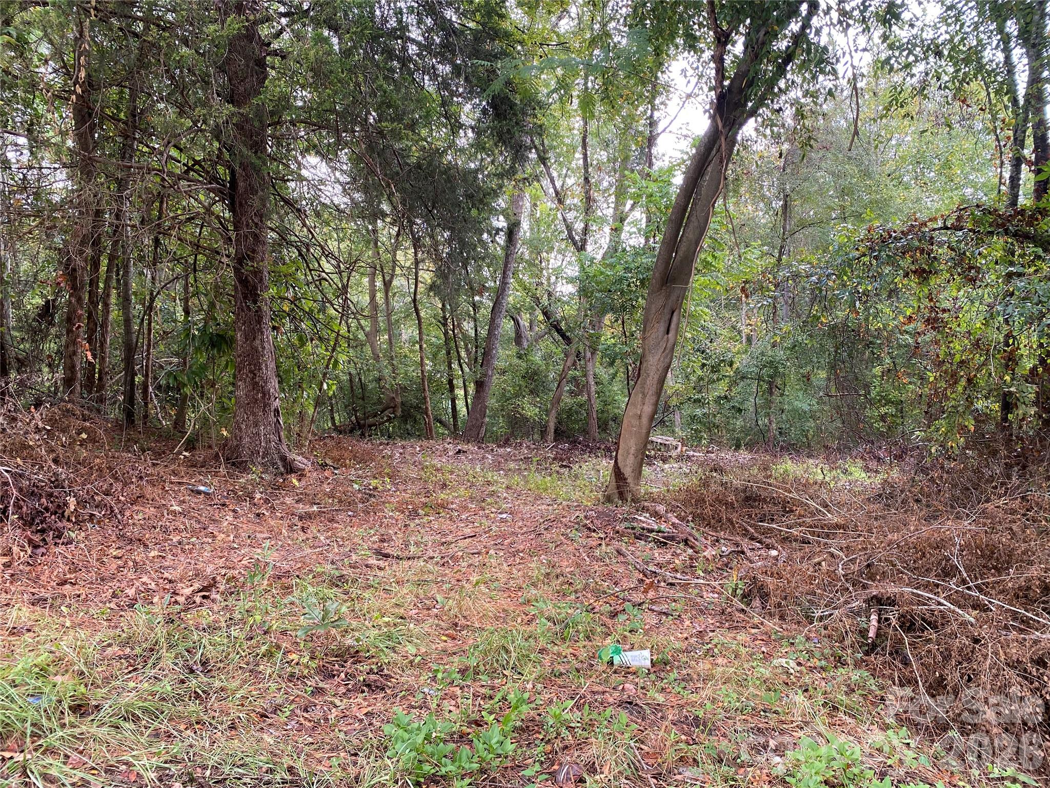 Photo 3 of Land for sale at 245 Slayton St, Whitmire, SC 29178 | MLS# 4426118 | Listing updated on 2026-09-21