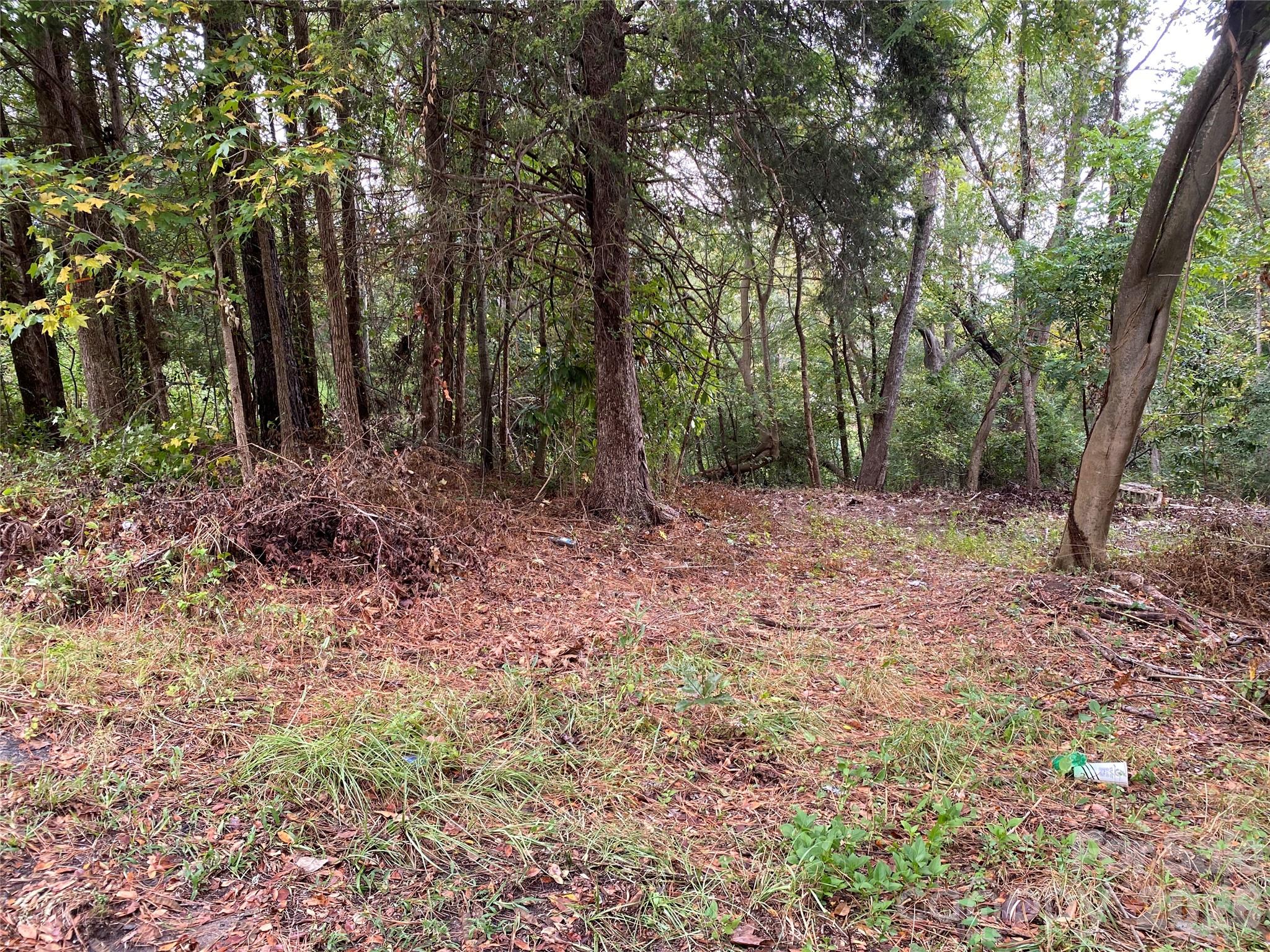 Photo 2 of Land for sale at 245 Slayton St, Whitmire, SC 29178 | MLS# 4426118 | Listing updated on 2026-09-21