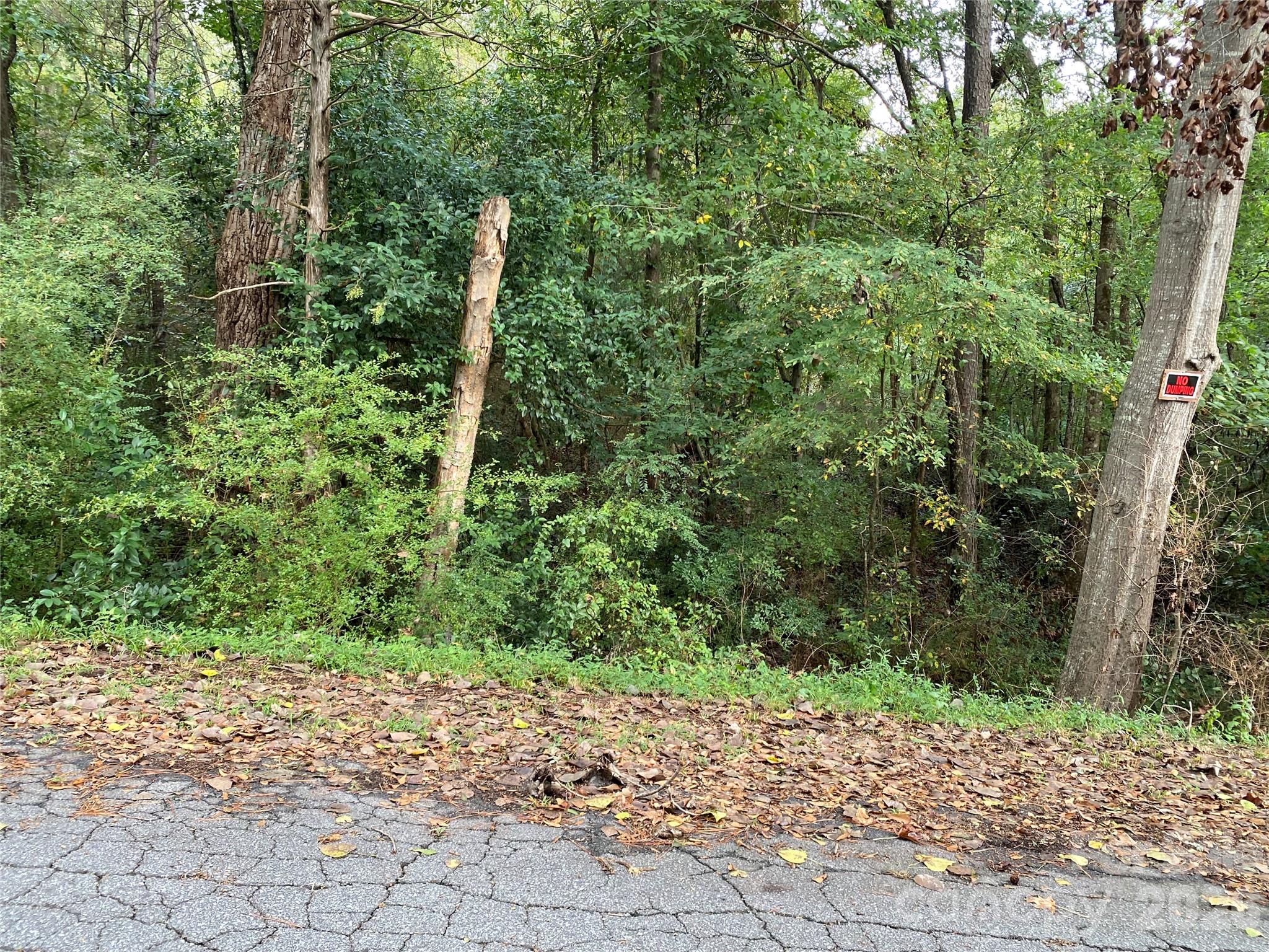 Photo 4 of Land for sale at 245 Slayton St, Whitmire, SC 29178 | MLS# 4426118 | Listing updated on 2026-09-21