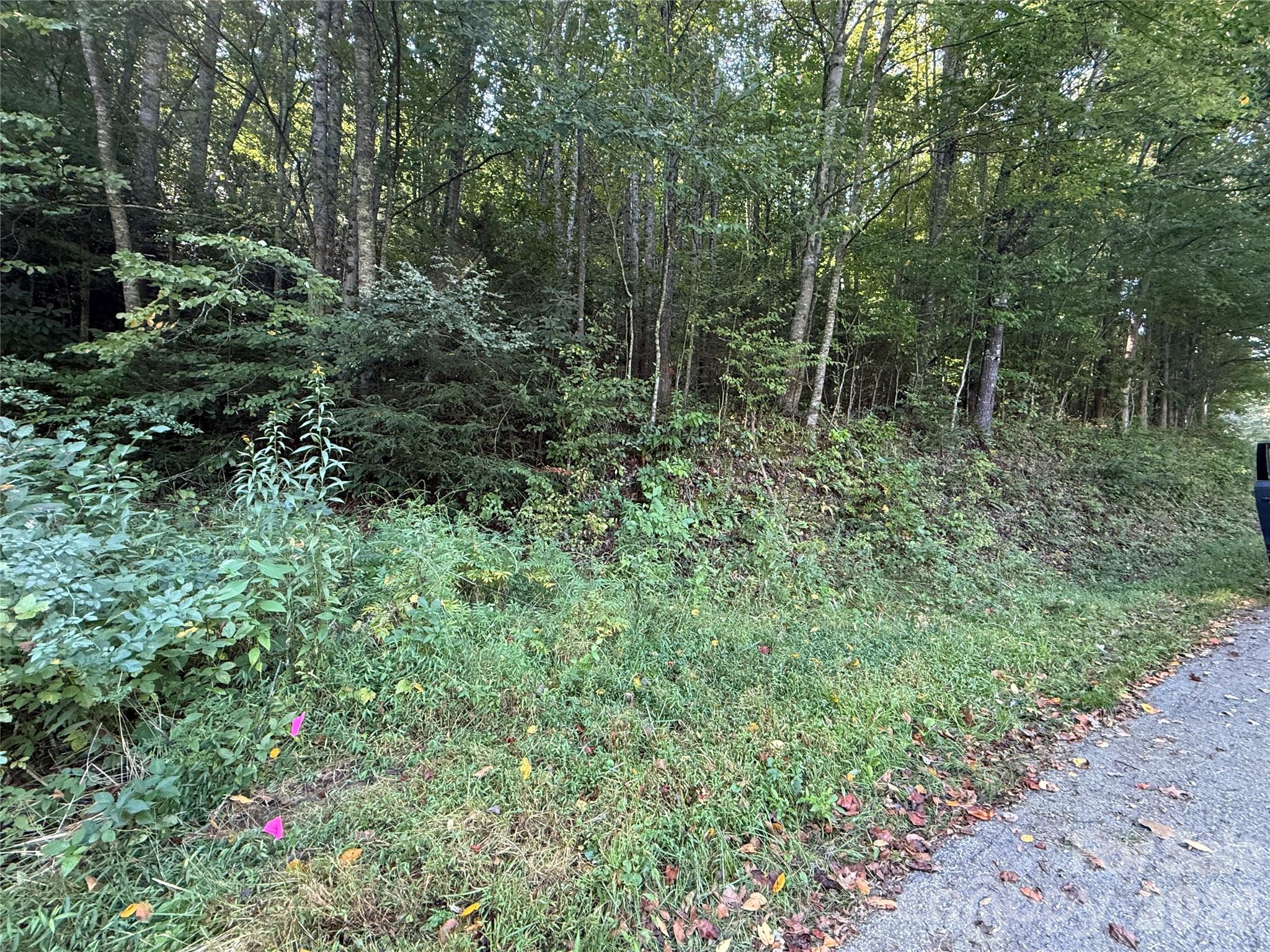 Photo 1 of Land for sale at 000a Bobcat Rd, Waynesville, NC 28785 | MLS# 4426180 | Listing updated on 2026-09-21
