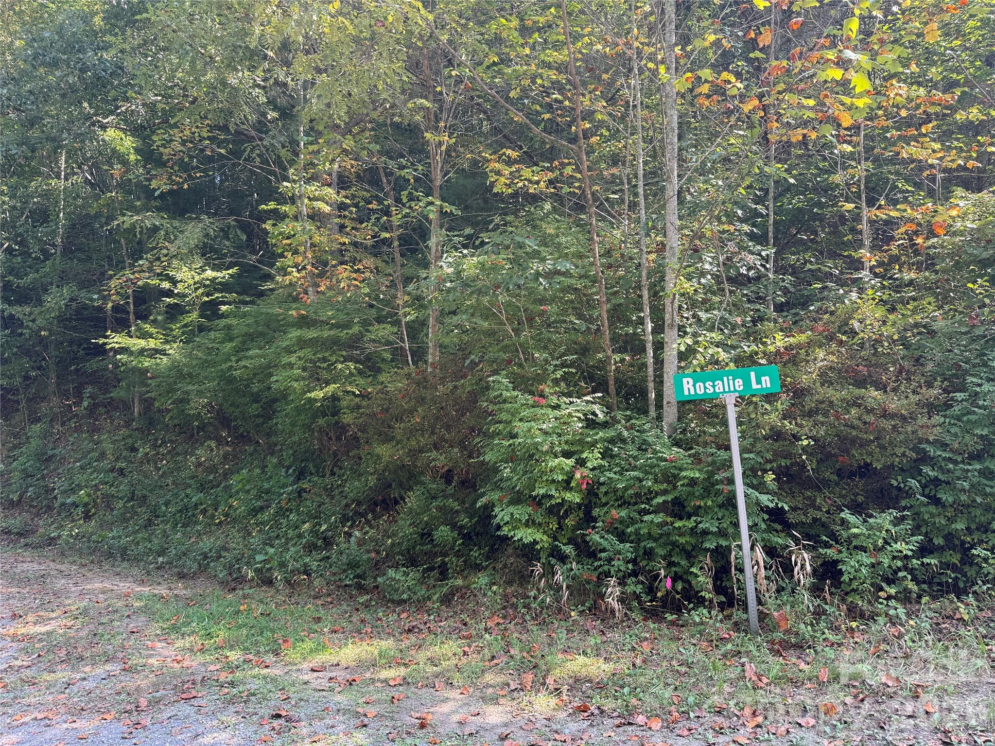 Photo 3 of Land for sale at 000a Bobcat Rd, Waynesville, NC 28785 | MLS# 4426180 | Listing updated on 2026-09-21