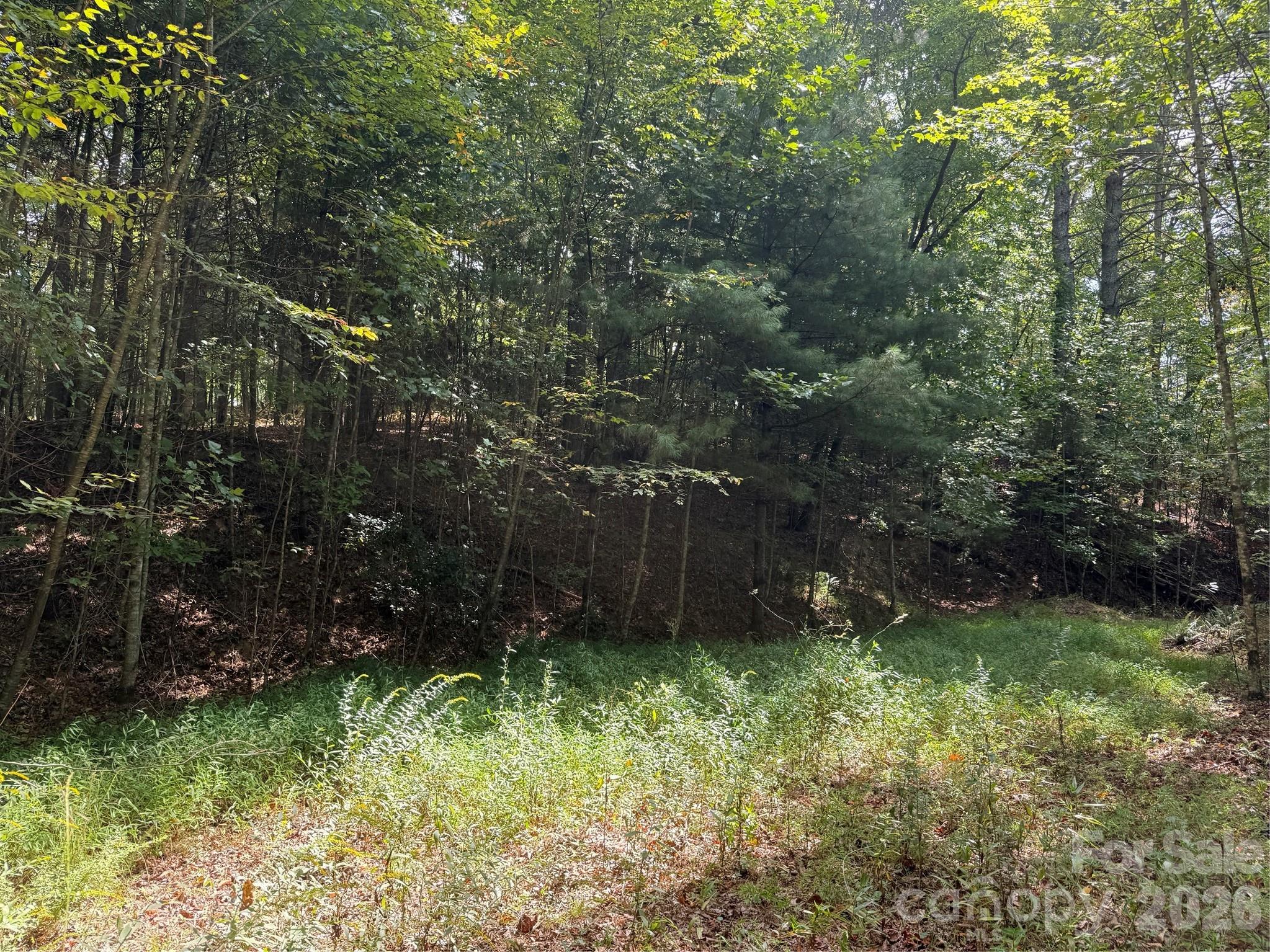 Photo 4 of Land for sale at 000a Rosalie Ln #19, Waynesville, NC 28785 | MLS# 4426188 | Listing updated on 2026-09-21