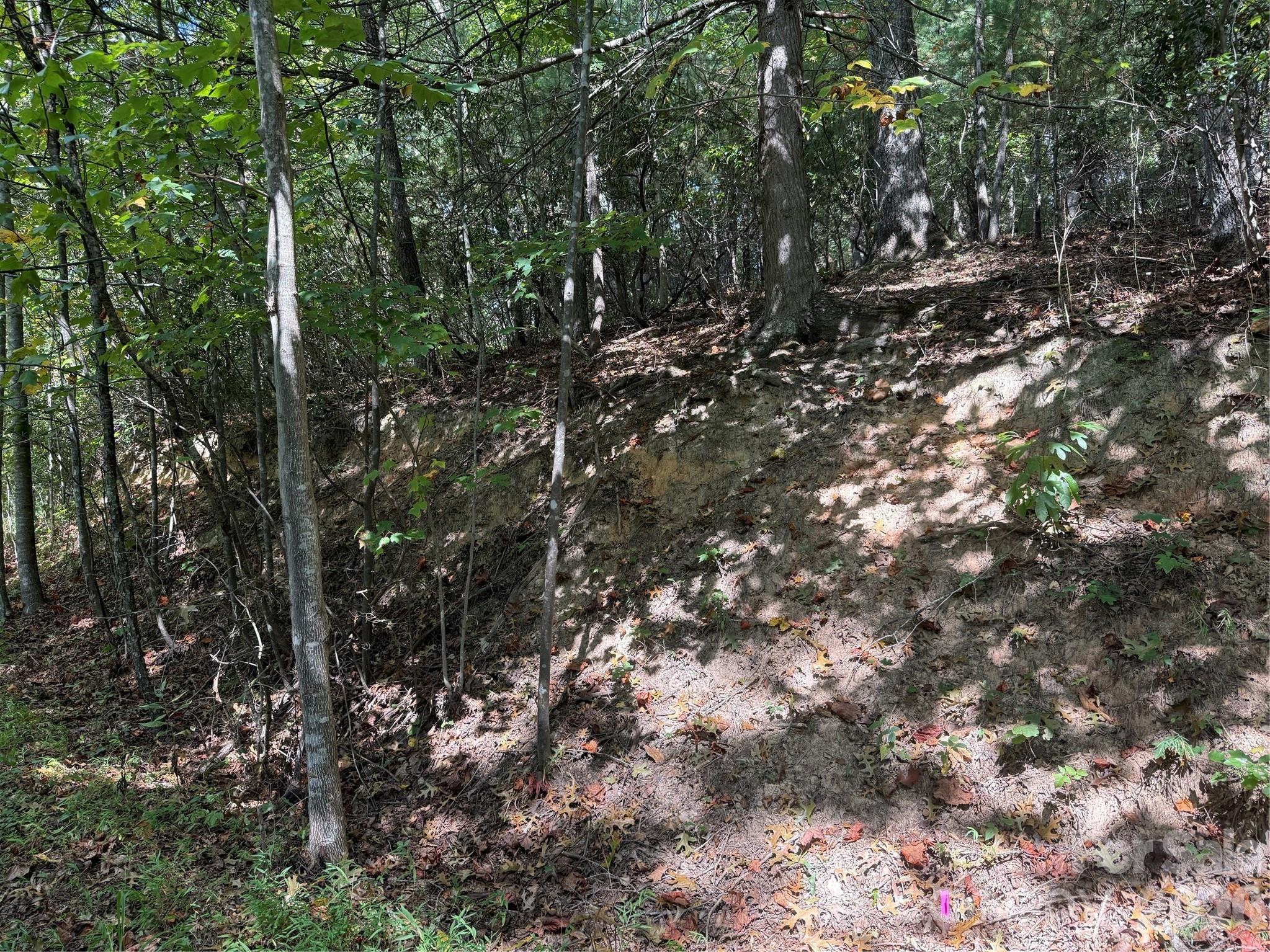 Photo 1 of Land for sale at 000a Rosalie Ln #19, Waynesville, NC 28785 | MLS# 4426188 | Listing updated on 2026-09-21