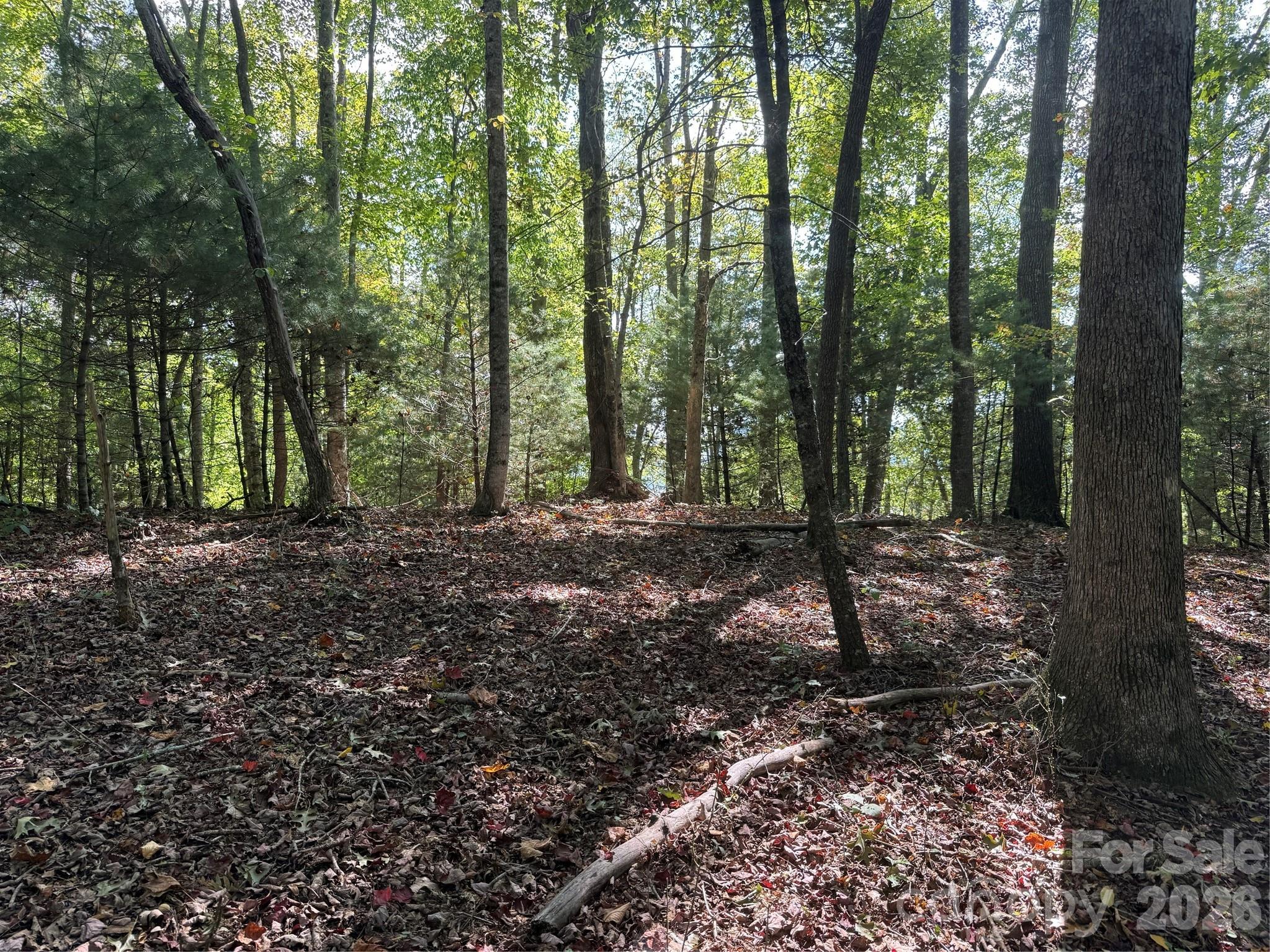 Land for sale at 000a Rosalie Ln #19, Waynesville, NC 28785 | MLS# 4426188