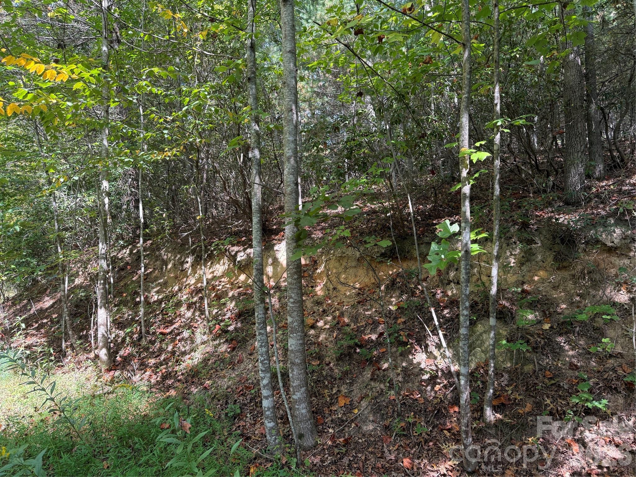 Photo 2 of Land for sale at 000a Rosalie Ln #19, Waynesville, NC 28785 | MLS# 4426188 | Listing updated on 2026-09-21