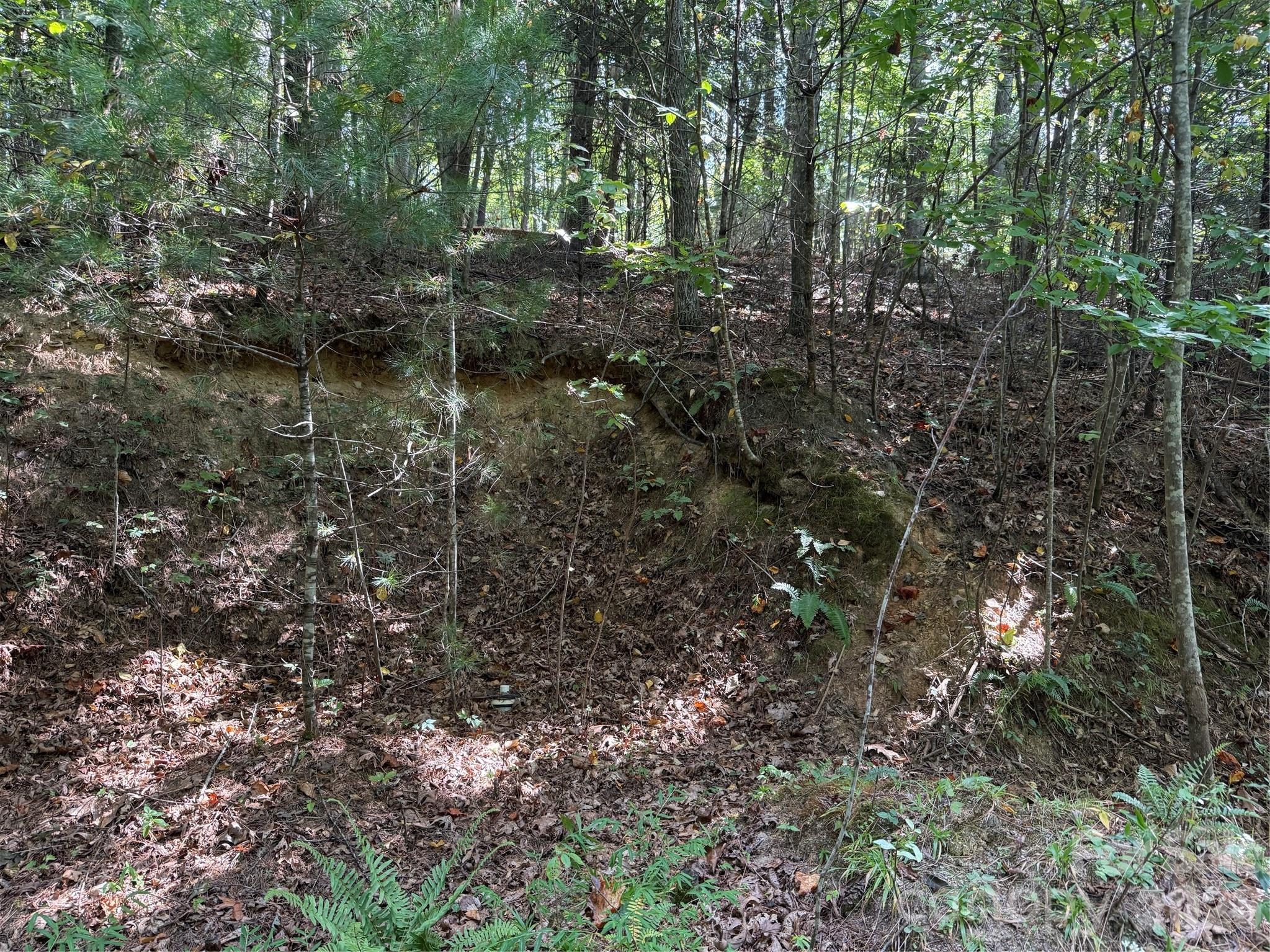 Photo 3 of Land for sale at 000a Rosalie Ln #19, Waynesville, NC 28785 | MLS# 4426188 | Listing updated on 2026-09-21