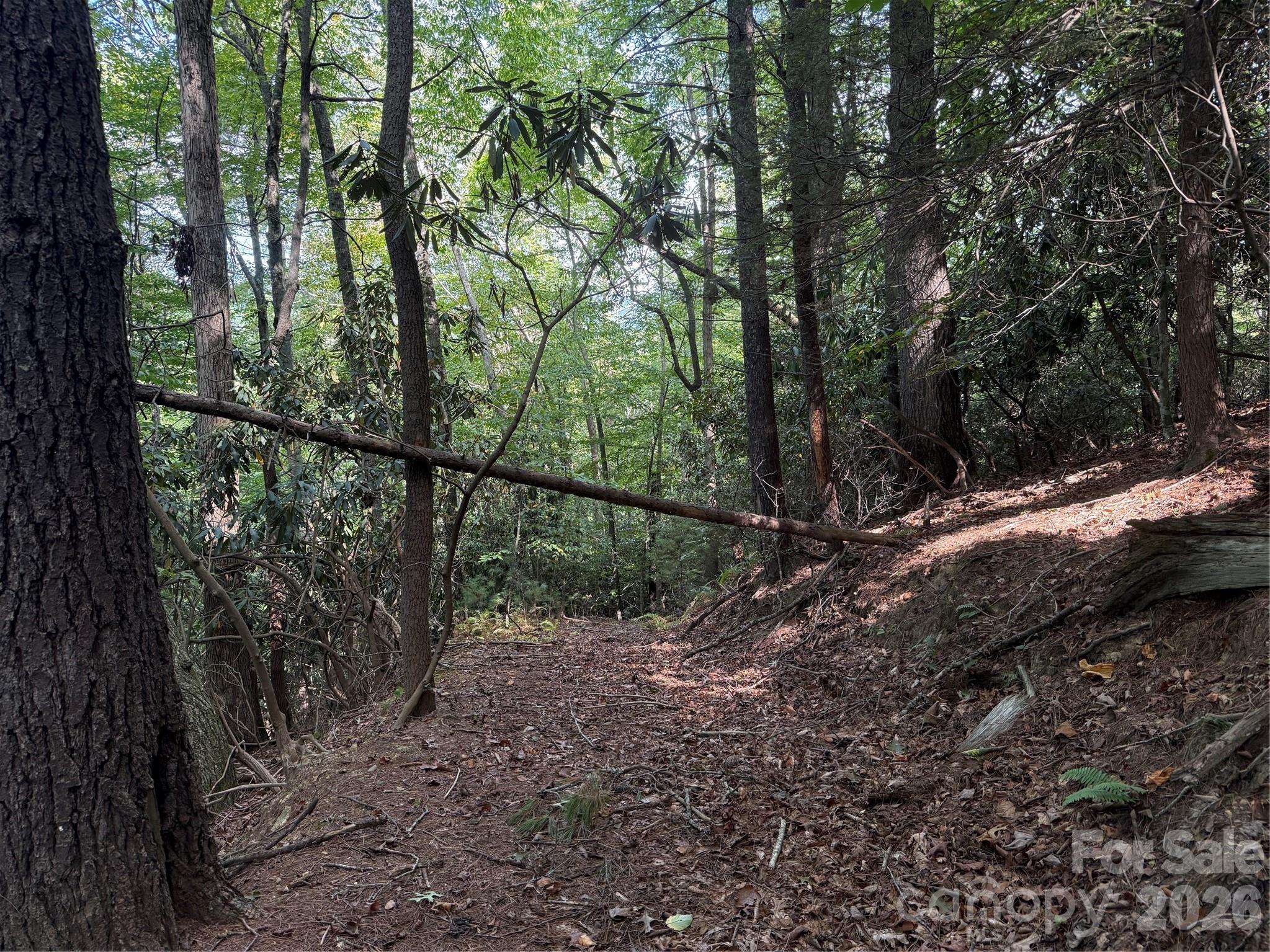 Photo 2 of Land for sale at 000b Rosalie Ln #20, Waynesville, NC 28785 | MLS# 4426196 | Listing updated on 2026-09-21