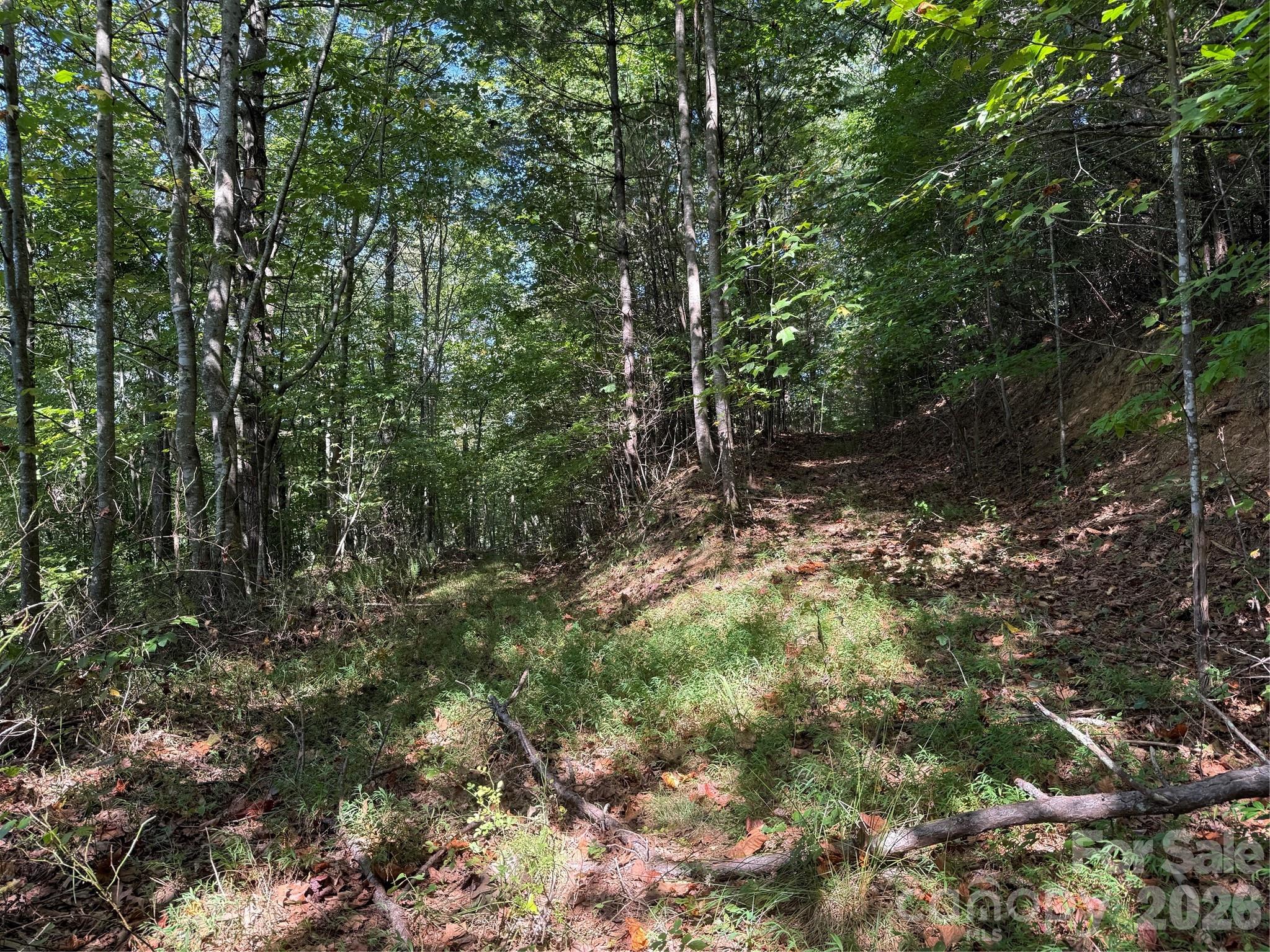 Land for sale at 000b Rosalie Ln #20, Waynesville, NC 28785 | MLS# 4426196