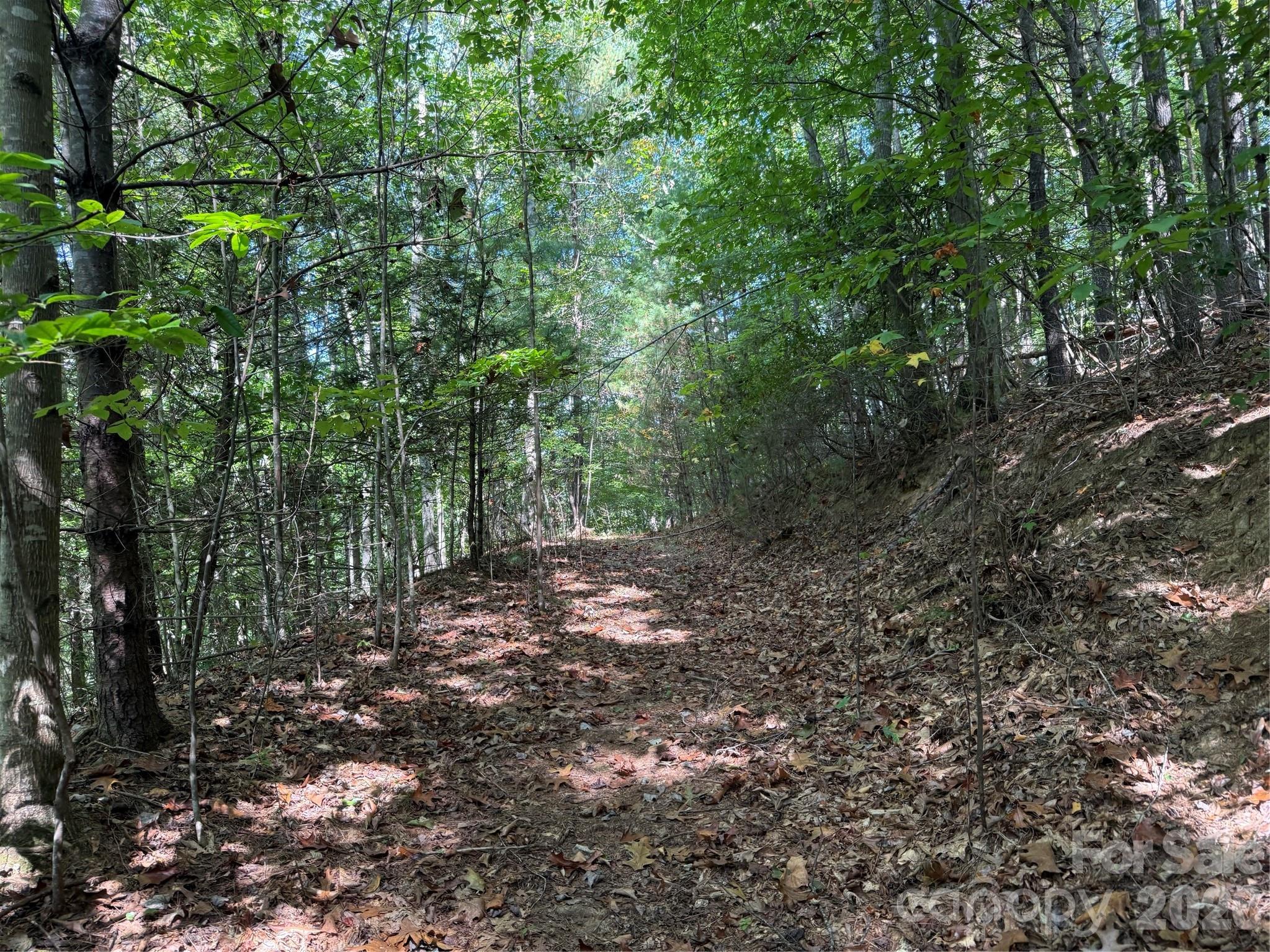 Photo 1 of Land for sale at 000b Rosalie Ln #20, Waynesville, NC 28785 | MLS# 4426196 | Listing updated on 2026-09-21