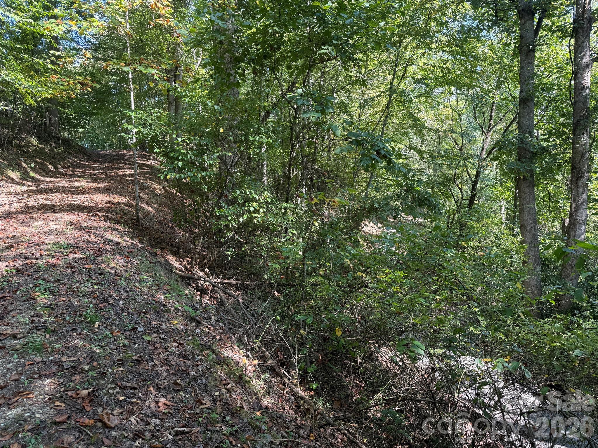 Land for sale at 000c Rosalie Ln, Waynesville, NC 28785 | MLS# 4426289