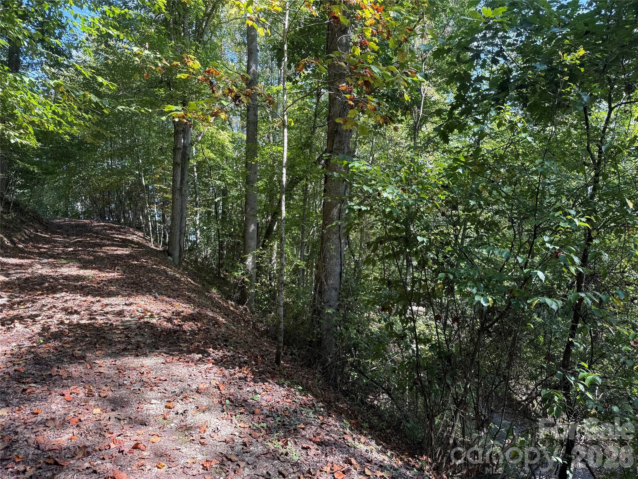 Photo 1 of Land for sale at 000c Rosalie Ln, Waynesville, NC 28785 | MLS# 4426289 | Listing updated on 2026-09-21