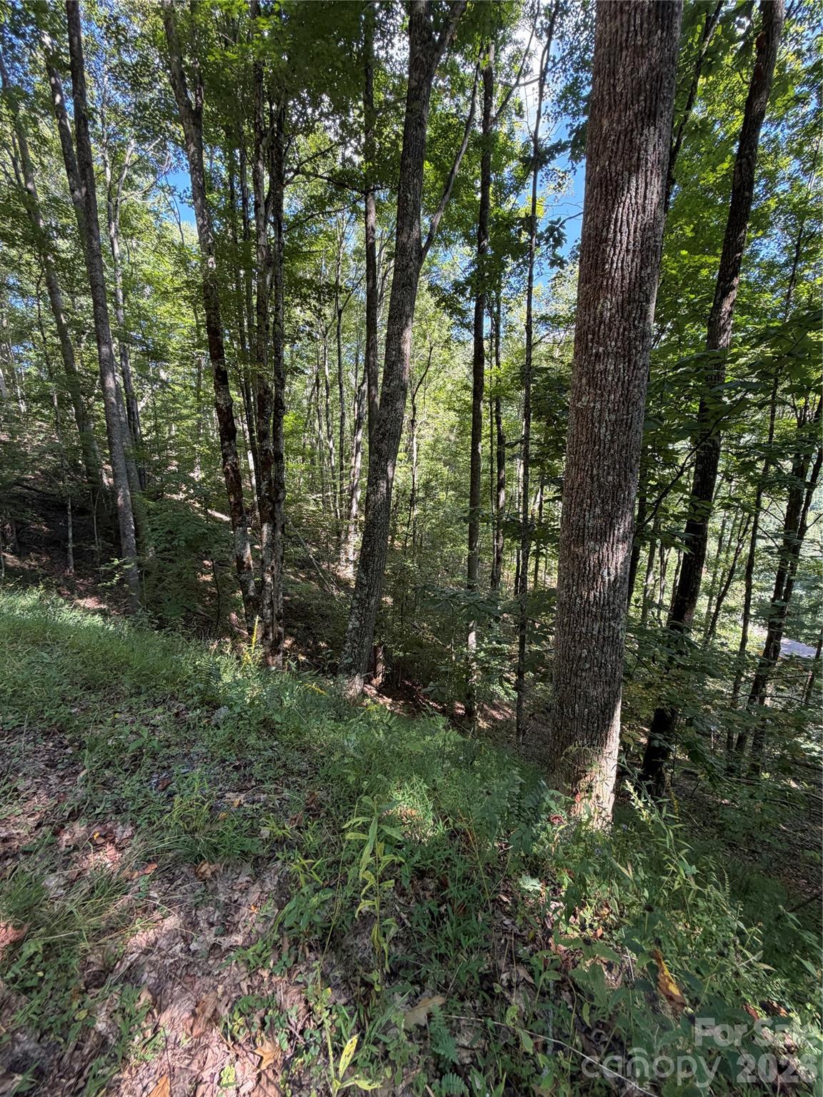 Photo 3 of Land for sale at 38 Gardenside Ln, Mars Hill, NC 28754 | MLS# 4426290 | Listing updated on 2026-09-21