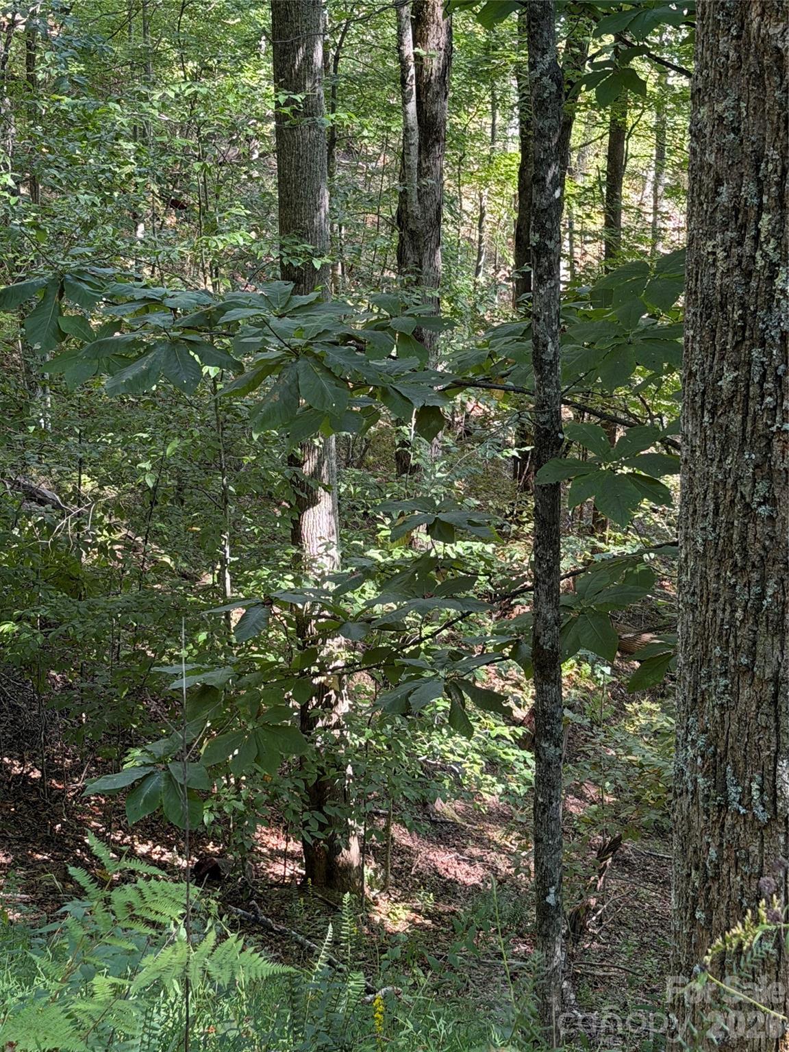 Photo 3 of Land for sale at 38 Gardenside Ln, Mars Hill, NC 28754 | MLS# 4426290 | Listing updated on 2026-09-21
