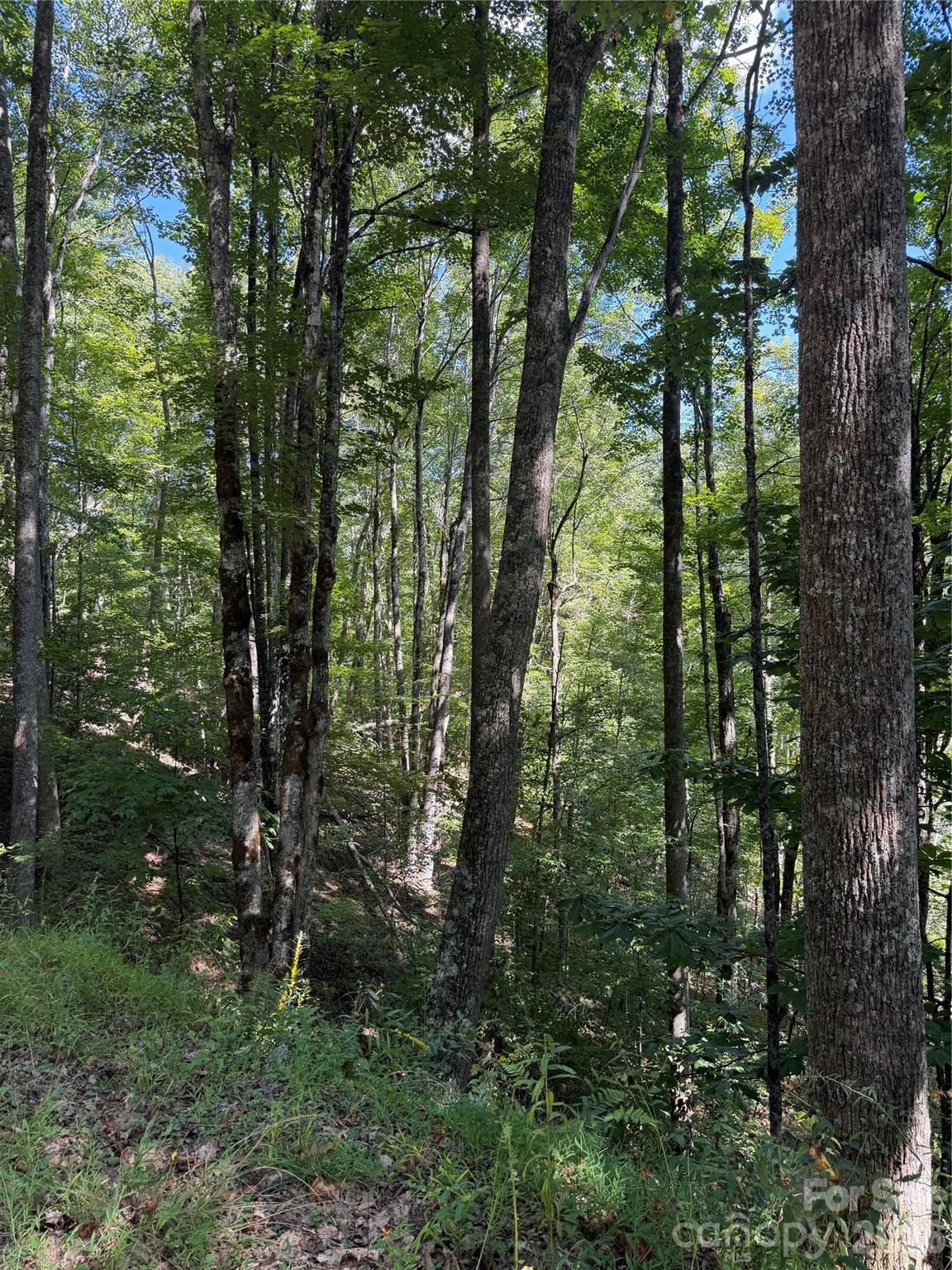 Photo 4 of Land for sale at 38 Gardenside Ln, Mars Hill, NC 28754 | MLS# 4426290 | Listing updated on 2026-09-21