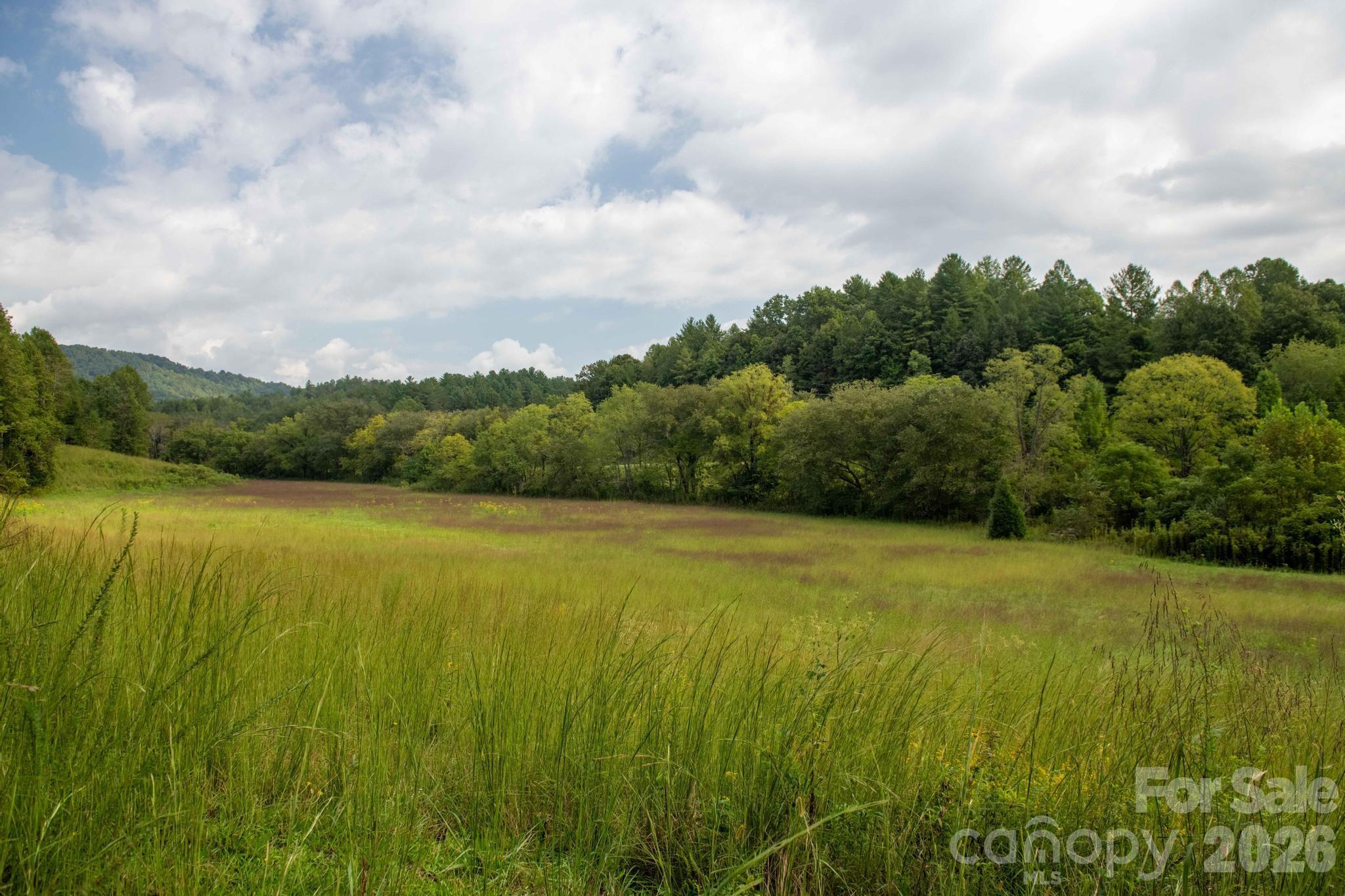 Photo 3 of Land for sale at 3305 Zacks Frk Rd, Lenoir, NC 28645 | MLS# 4426701 | Listing updated on 2026-09-21