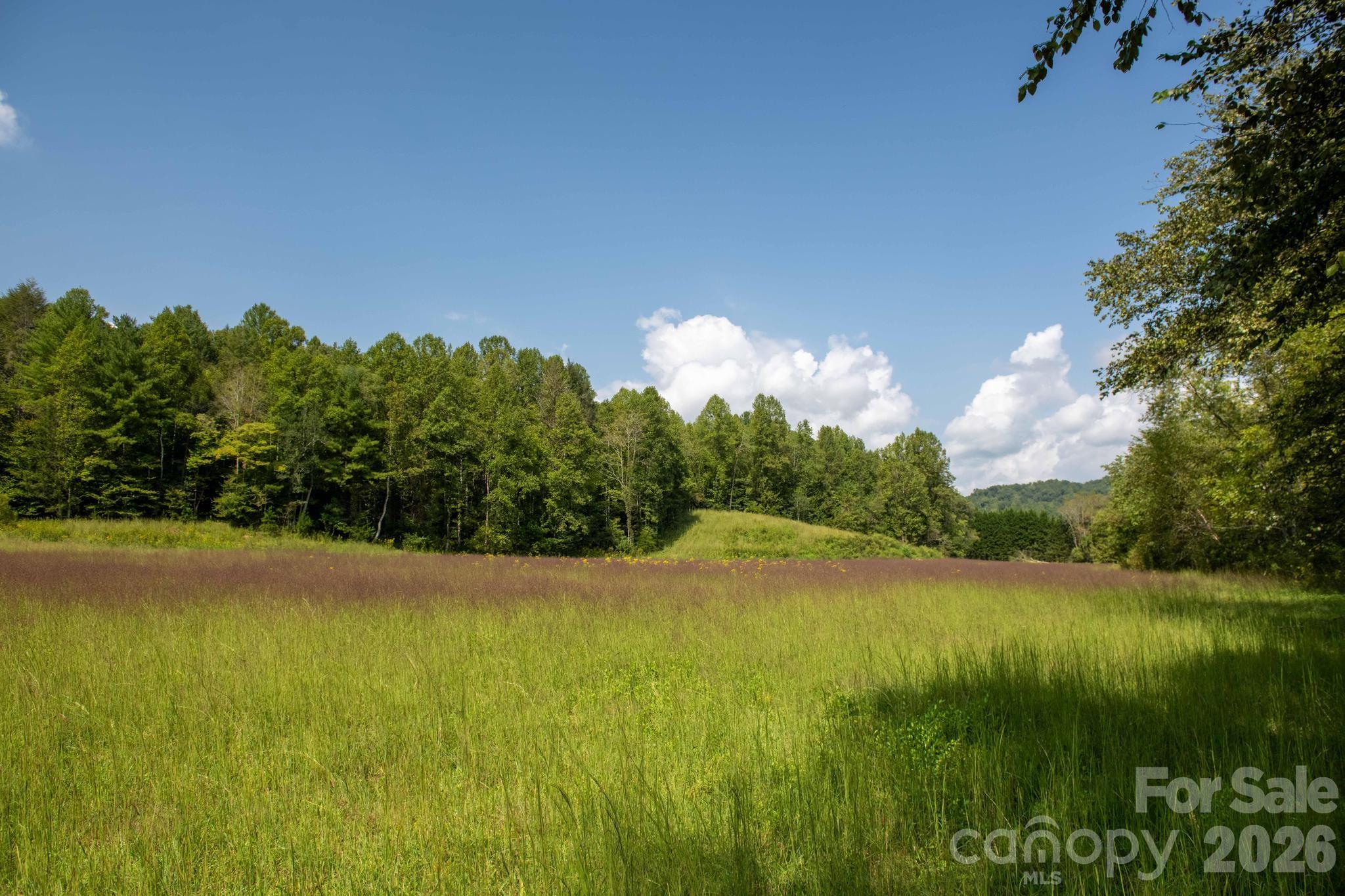 Land for sale at 3305 Zacks Frk Rd, Lenoir, NC 28645 | MLS# 4426701