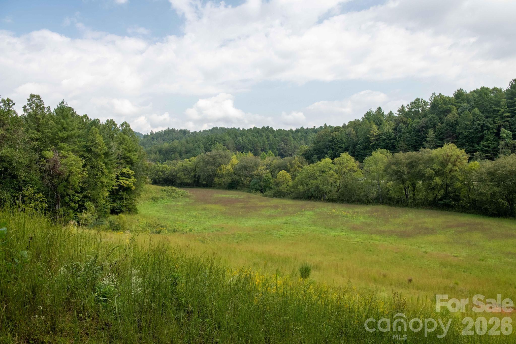Photo 4 of Land for sale at 3305 Zacks Frk Rd, Lenoir, NC 28645 | MLS# 4426701 | Listing updated on 2026-09-21
