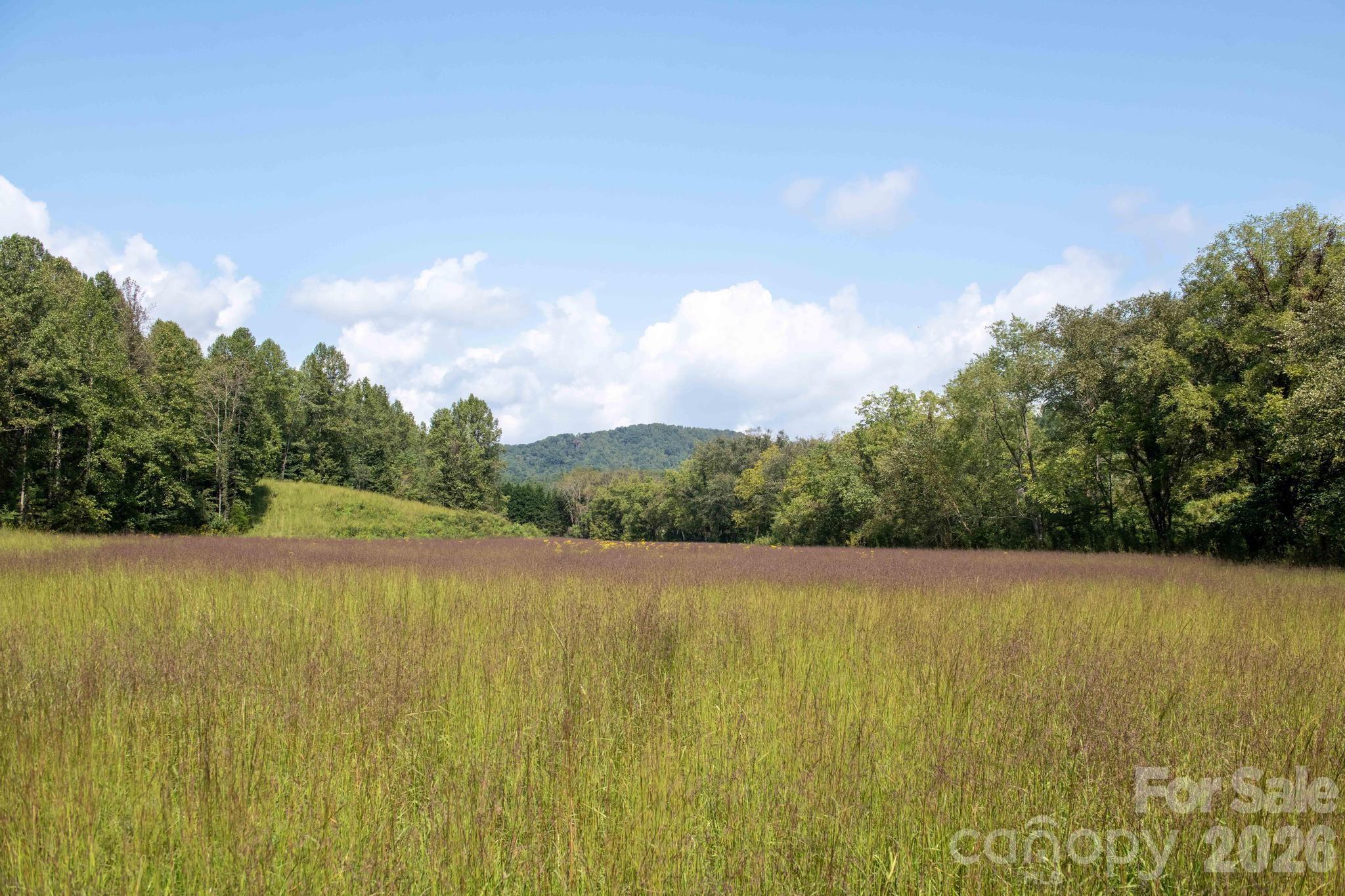 Photo 1 of Land for sale at 3305 Zacks Frk Rd, Lenoir, NC 28645 | MLS# 4426701 | Listing updated on 2026-09-21