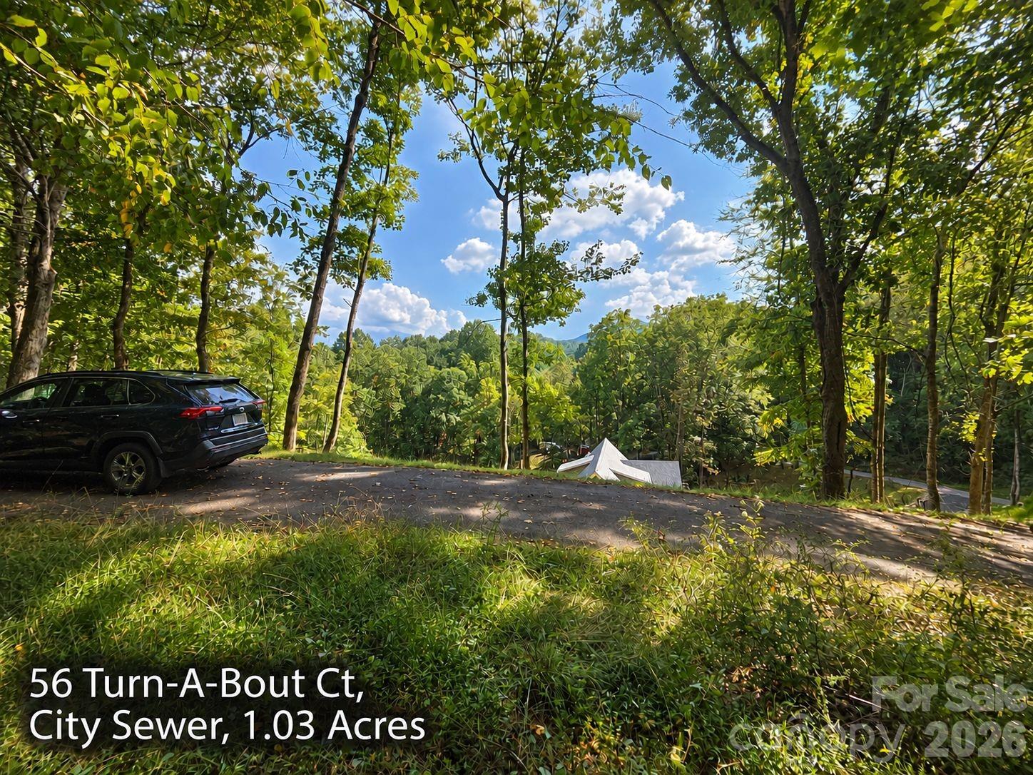 Land for sale at 250 & 300 Turn A Bout Ct, Waynesville, NC 28785 | MLS# 4427004
