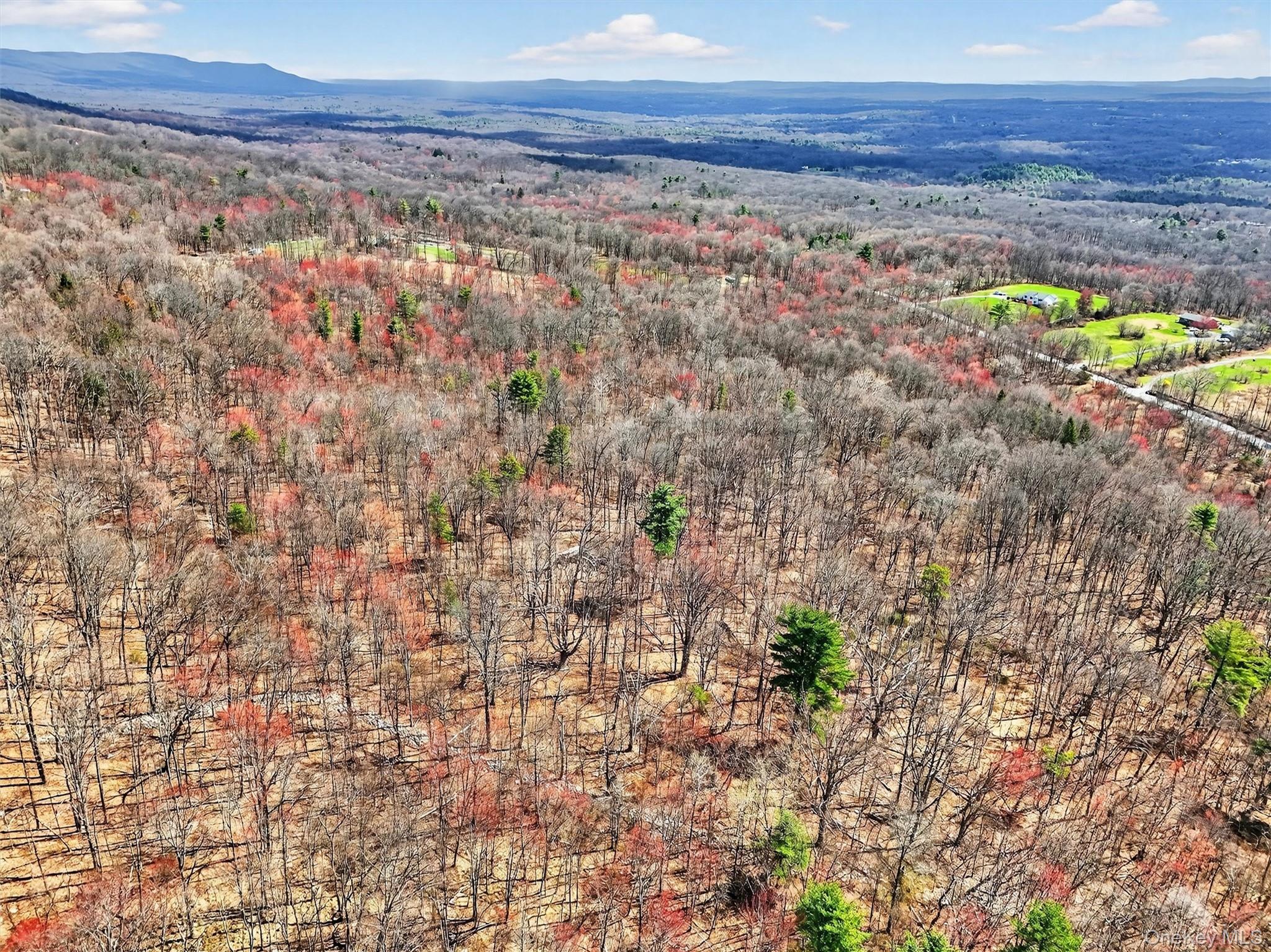 Photo 4 of Land for sale at Horton Rd, Bloomingburg, NY 12721 | MLS# 982183 | Listing updated on 2026-09-21