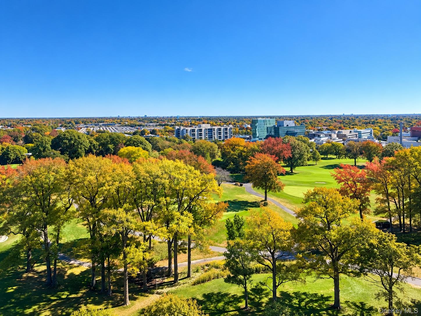 Listing Photo 12 - Condo for sale in 271 Grand Central Pkwy located at 271 Grand Central Pkwy, New York, NY 11005 - Unit #10C