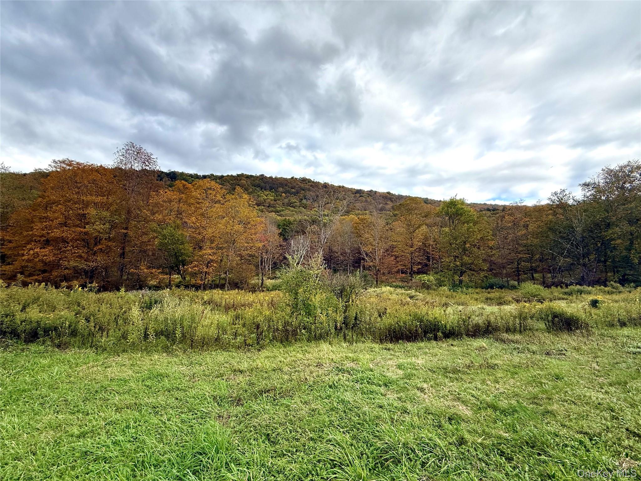 Photo 1 of Land for sale at The Gulf Rd, Rockland, NY 12776 | MLS# 1066569 | Listing updated on 2026-10-25