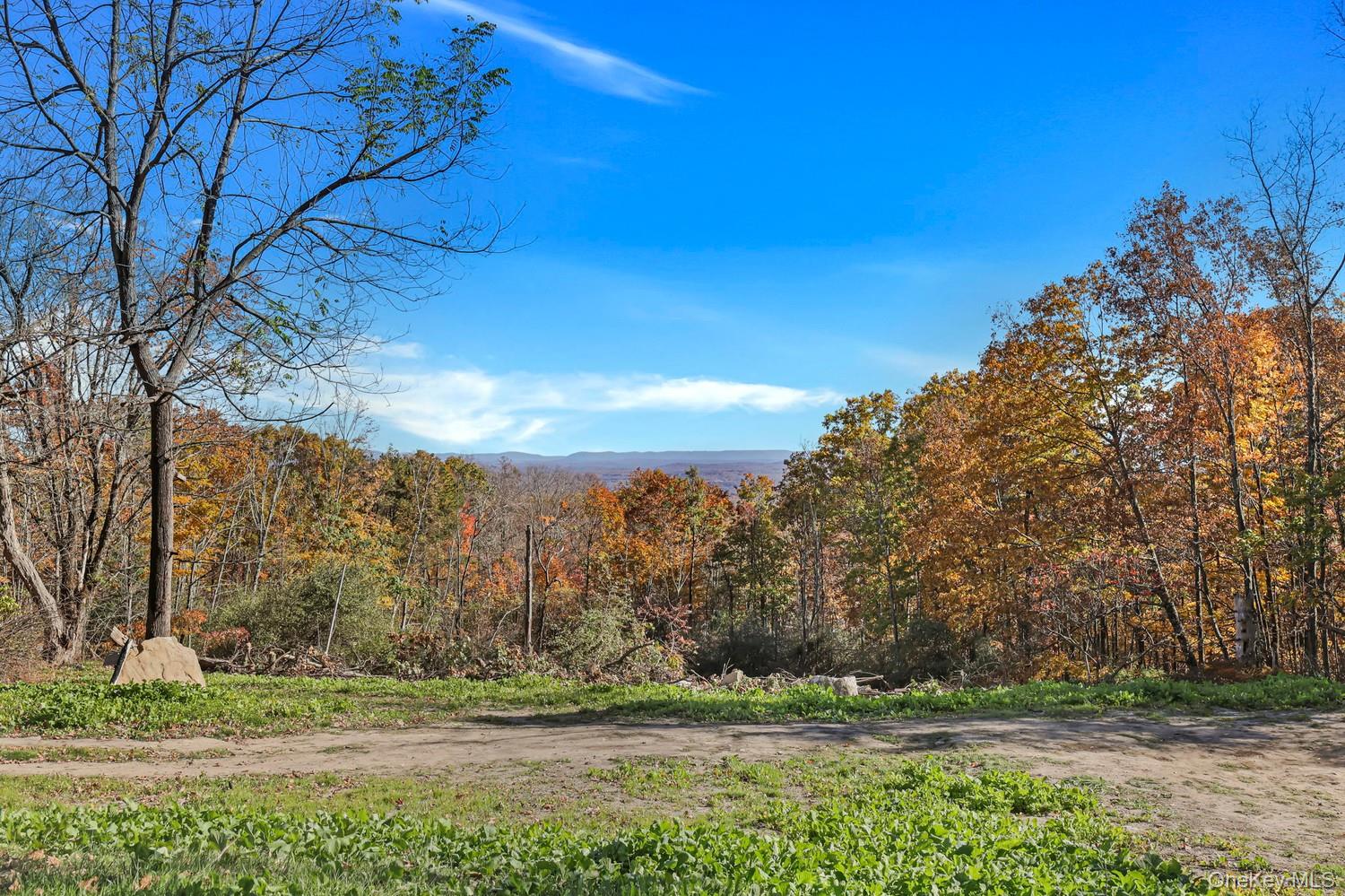 Photo 1 of Land for sale at 246 Cox Rd, Mamakating, NY 12566 | MLS# 1066712 | Listing updated on 2026-10-26
