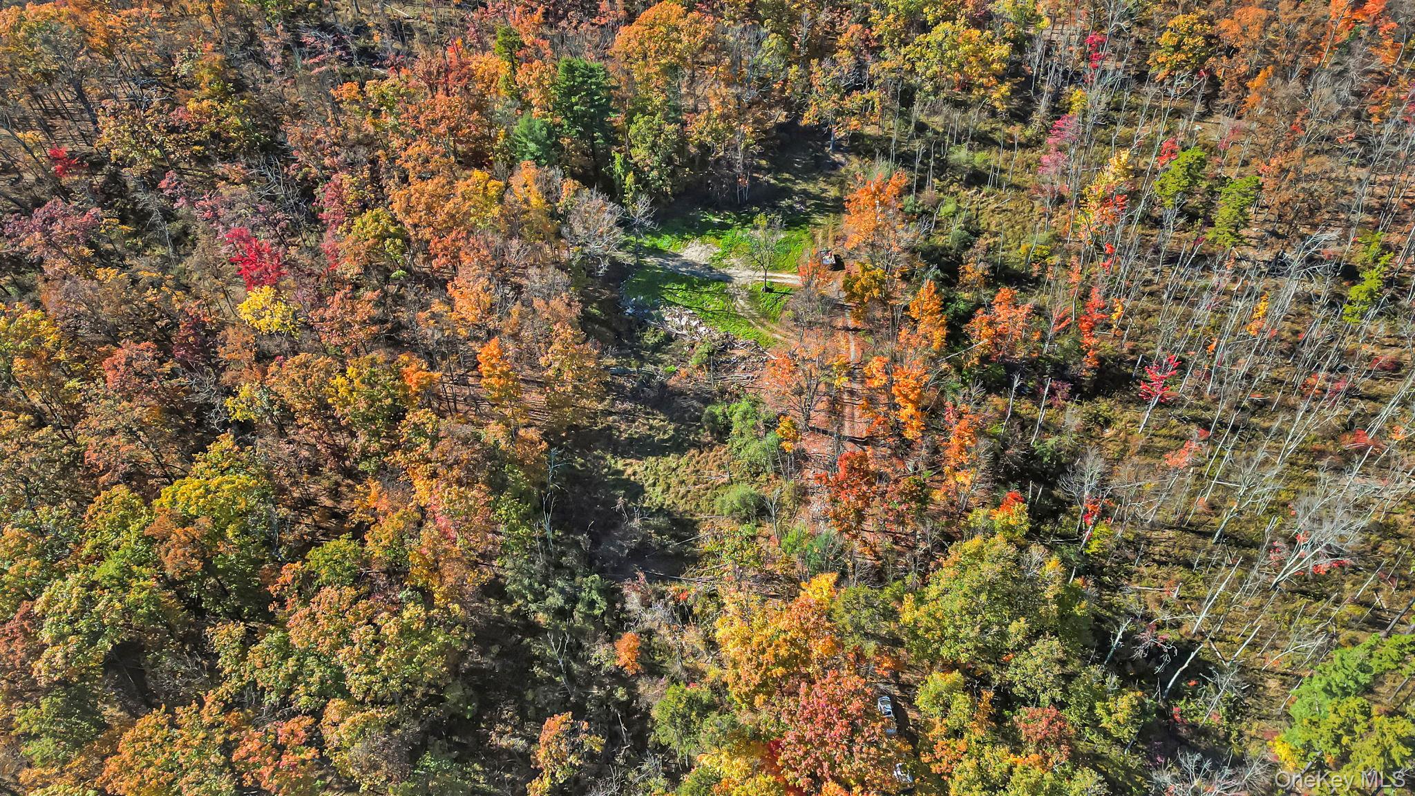 Photo 4 of Land for sale at 246 Cox Rd, Mamakating, NY 12566 | MLS# 1066712 | Listing updated on 2026-10-26