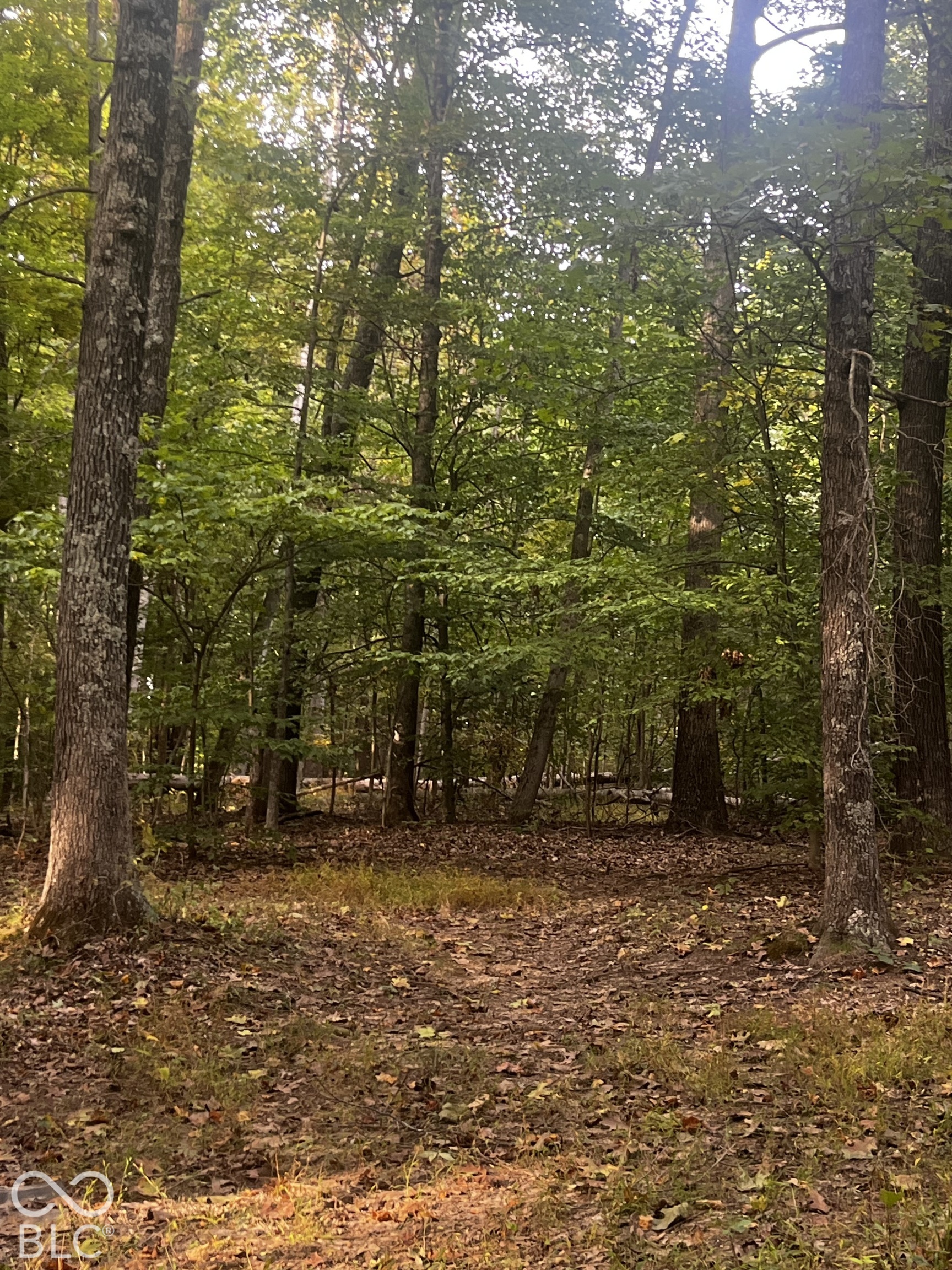 Photo 3 of Single family home for sale at 9089 Gold Point Rd, Trafalgar, IN 46181 | MLS# 22129417 | Listing updated on 2026-10-07