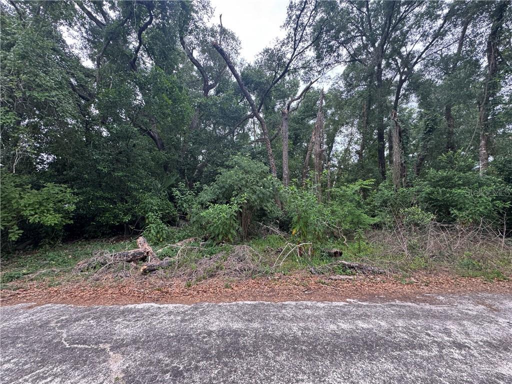 Photo 1 of Land for sale at 3638 E Lee Dr, Inverness, FL 34453 | MLS# CC855197 | Listing updated on 2026-10-08
