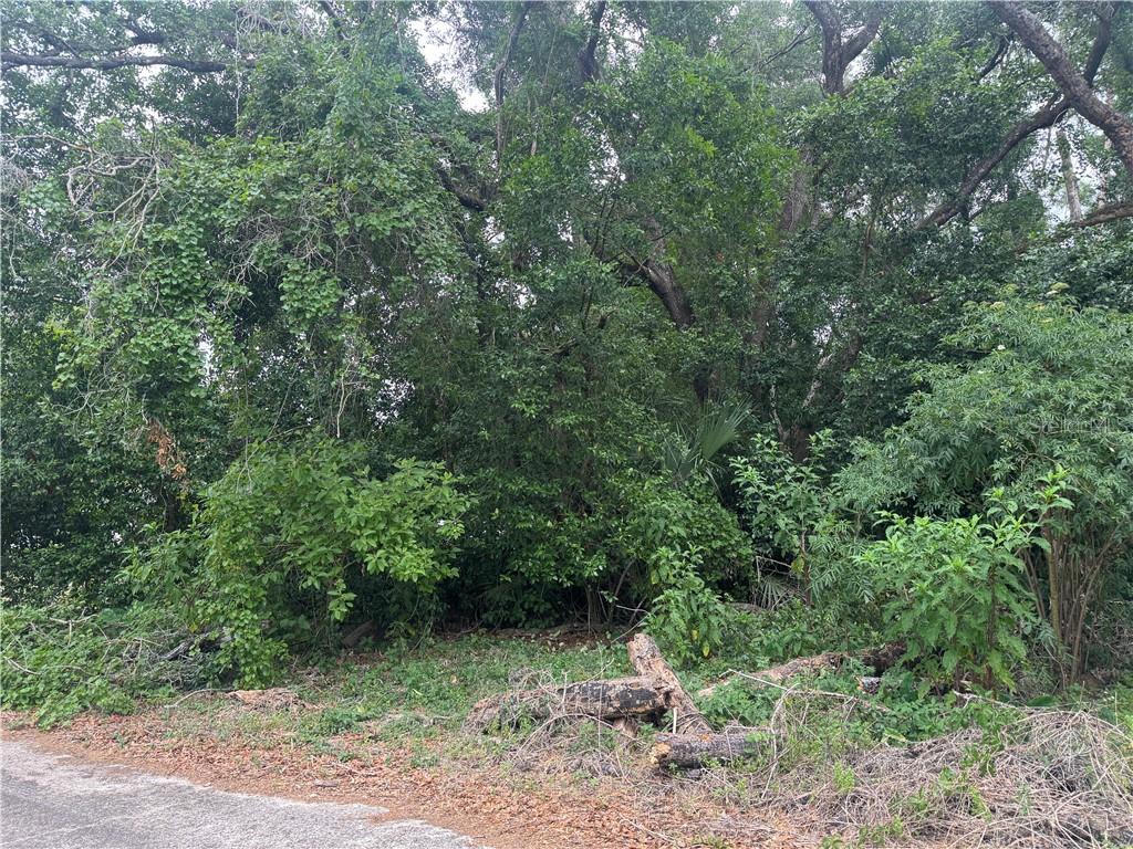 Photo 3 of Land for sale at 3638 E Lee Dr, Inverness, FL 34453 | MLS# CC855197 | Listing updated on 2026-10-08