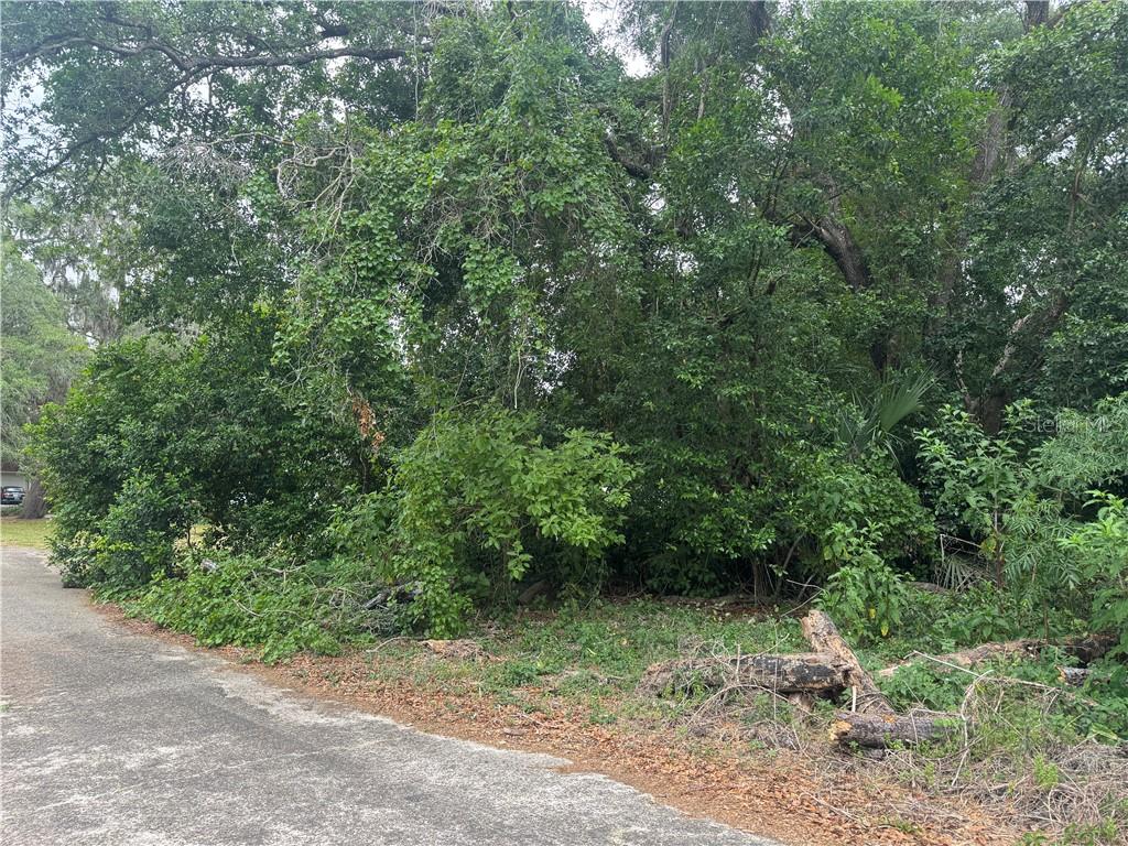 Photo 2 of Land for sale at 3638 E Lee Dr, Inverness, FL 34453 | MLS# CC855197 | Listing updated on 2026-10-08