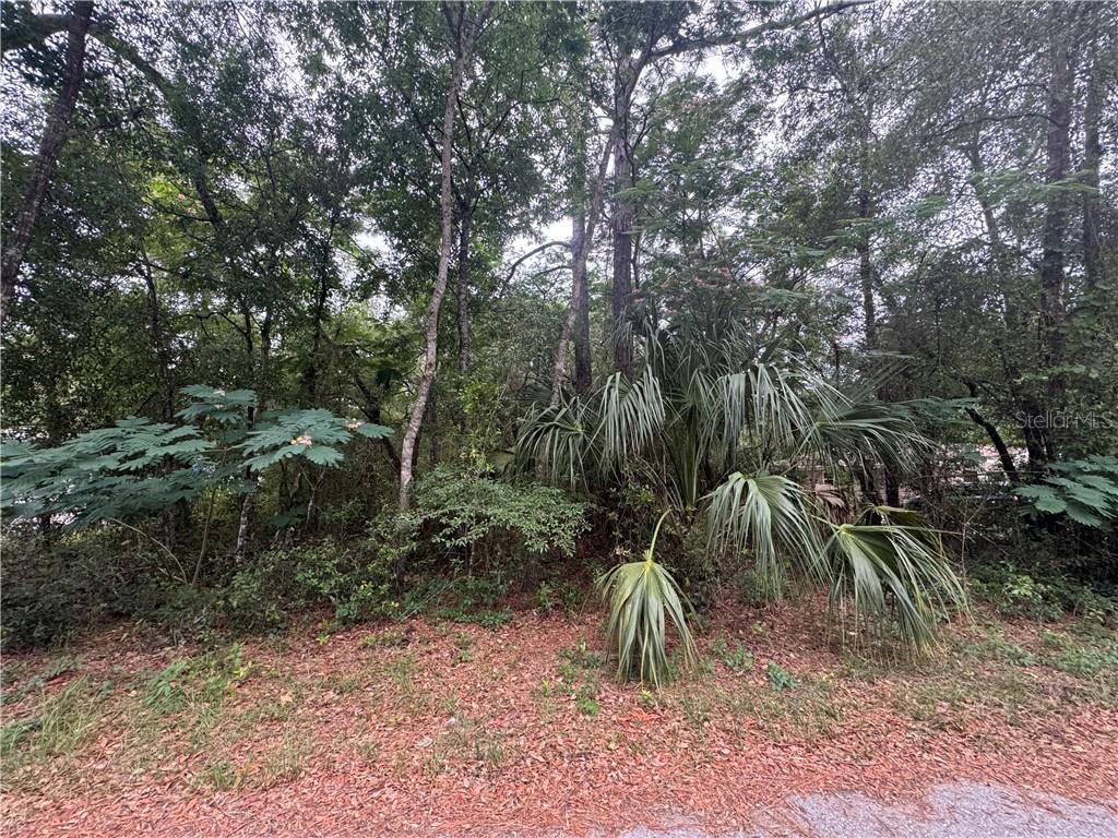 Photo 2 of Land for sale at 3462 E Michael St, Inverness, FL 34453 | MLS# CC855198 | Listing updated on 2026-10-08