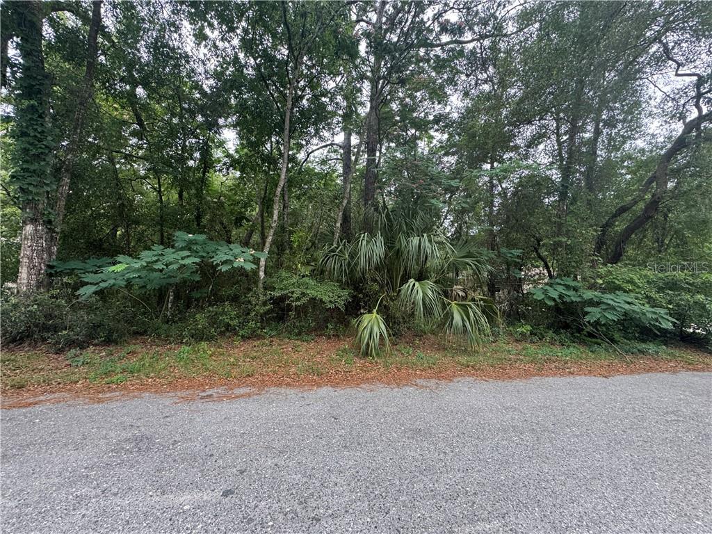Photo 1 of Land for sale at 3462 E Michael St, Inverness, FL 34453 | MLS# CC855198 | Listing updated on 2026-10-08